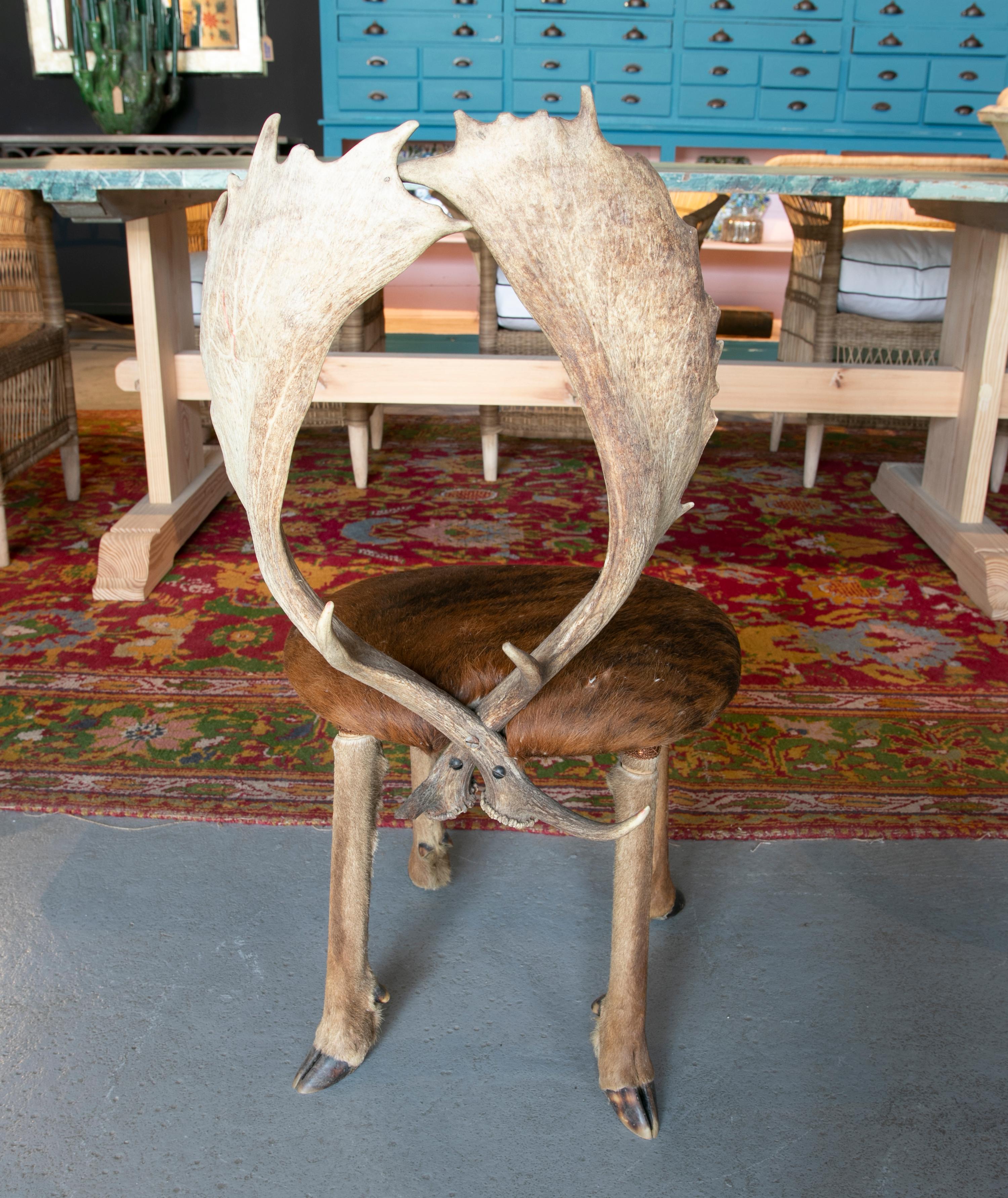 20ième siècle Chaise autrichienne des années 1950 avec assise en cuir de cerf, pieds en sabot et dossier en bois de cerf