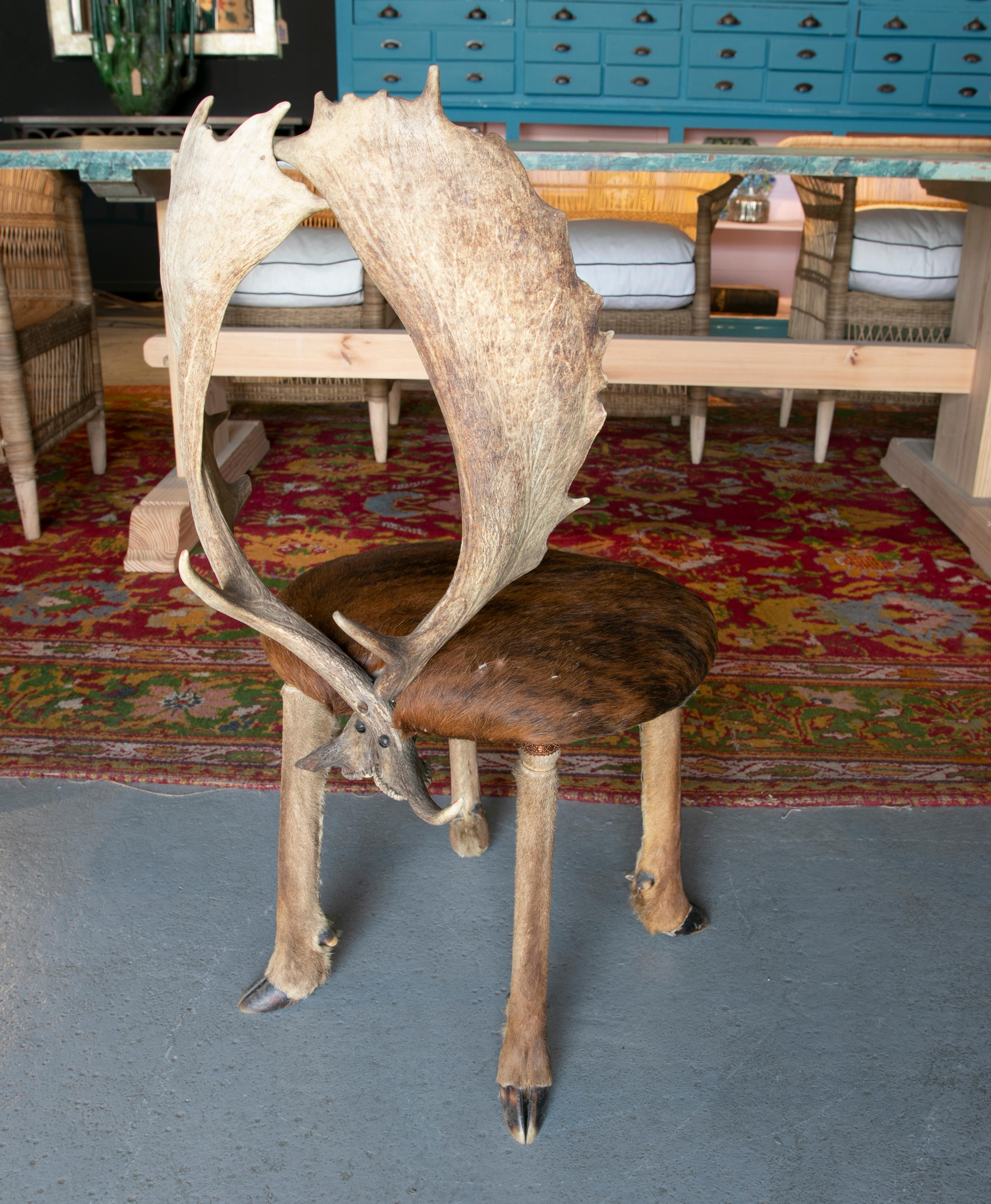 Corne Chaise autrichienne des années 1950 avec assise en cuir de cerf, pieds en sabot et dossier en bois de cerf