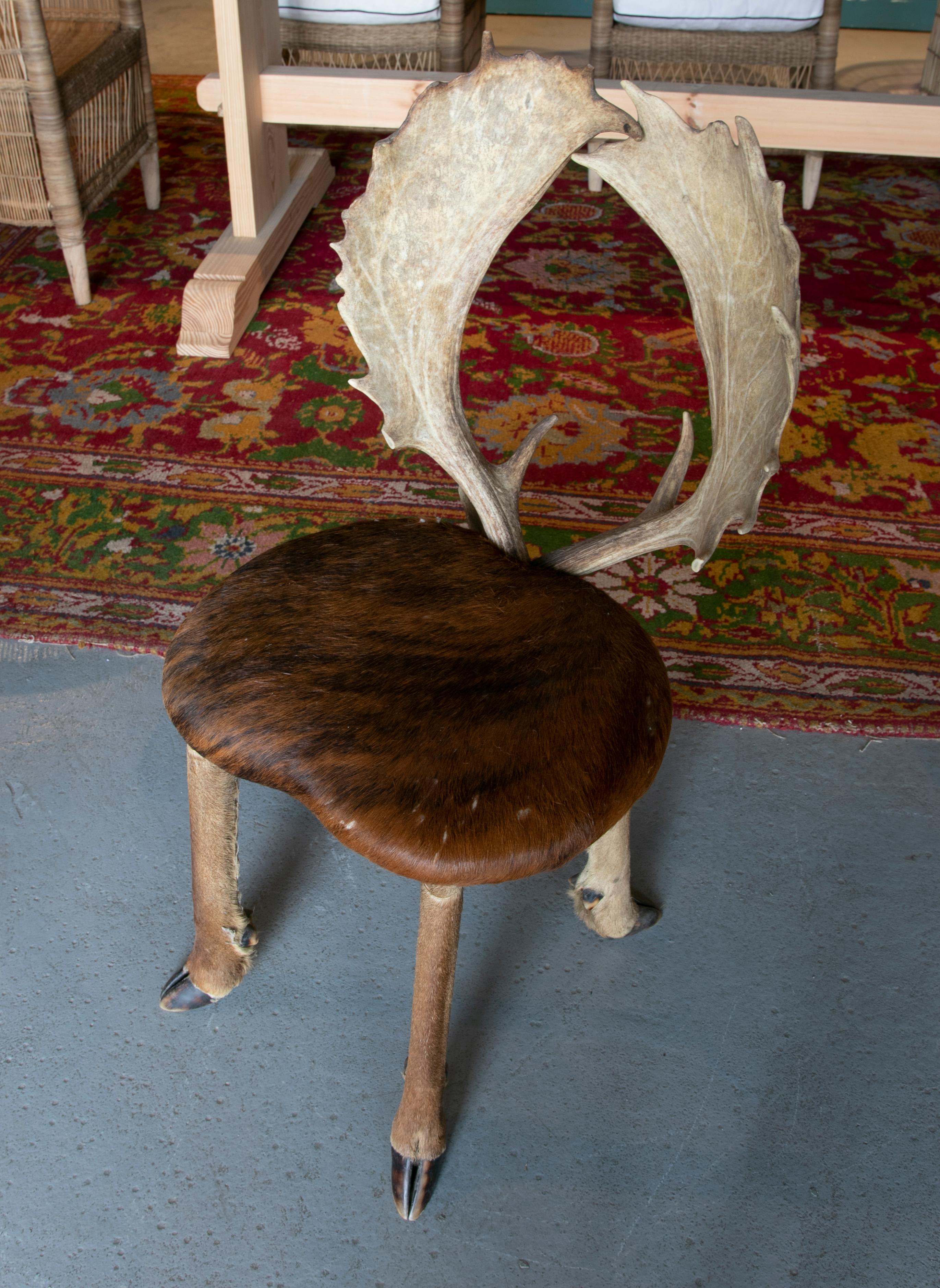 1950s Austrian Chair w/ Deer Leather Seats, Hoof Legs & Antlers Backrest 1