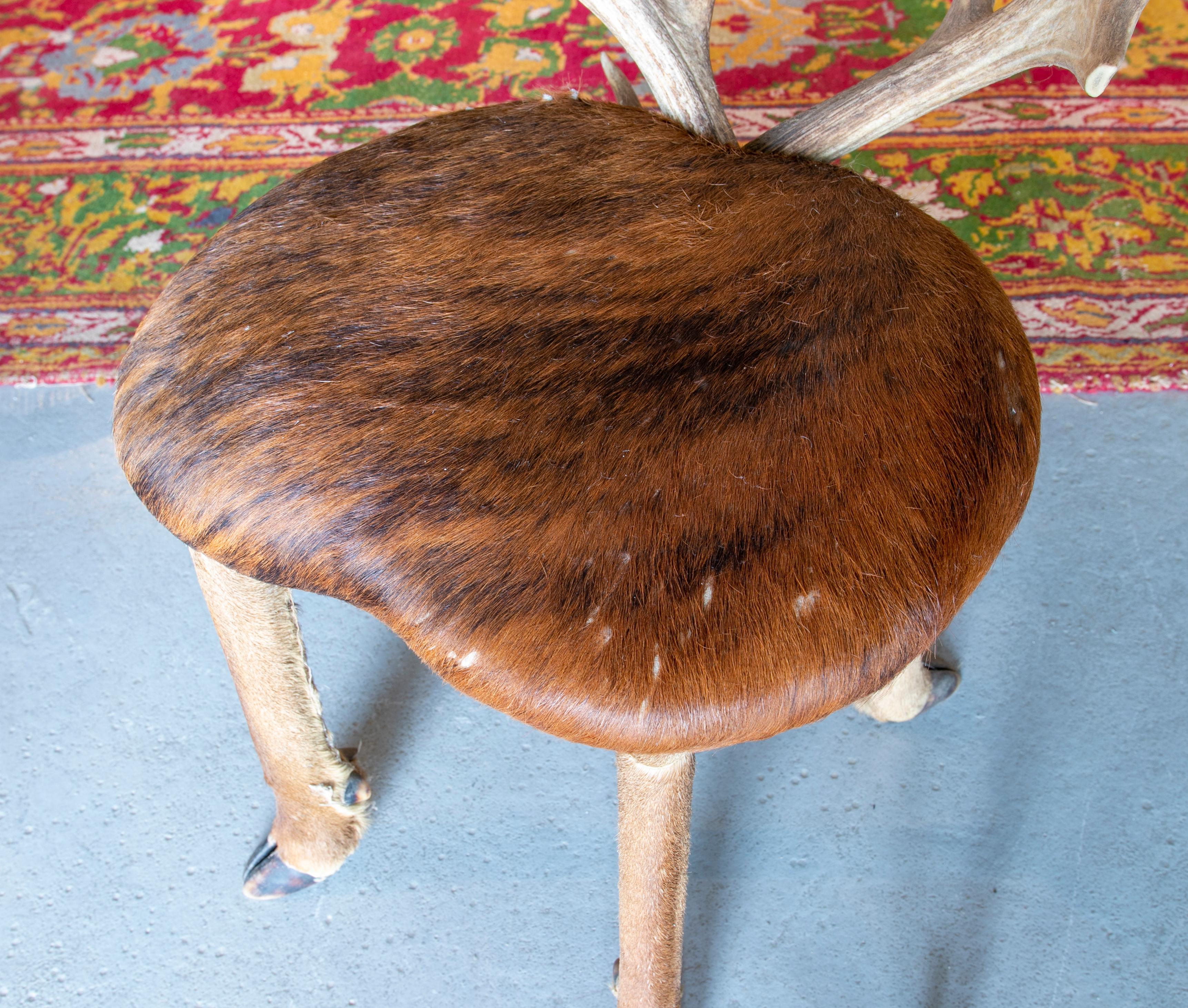 Chaise autrichienne des années 1950 avec assise en cuir de cerf, pieds en sabot et dossier en bois de cerf 2
