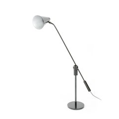 Magnetic Ball and Socket Lamp by Gilbert Watrous for Heifetz Lighting Co.