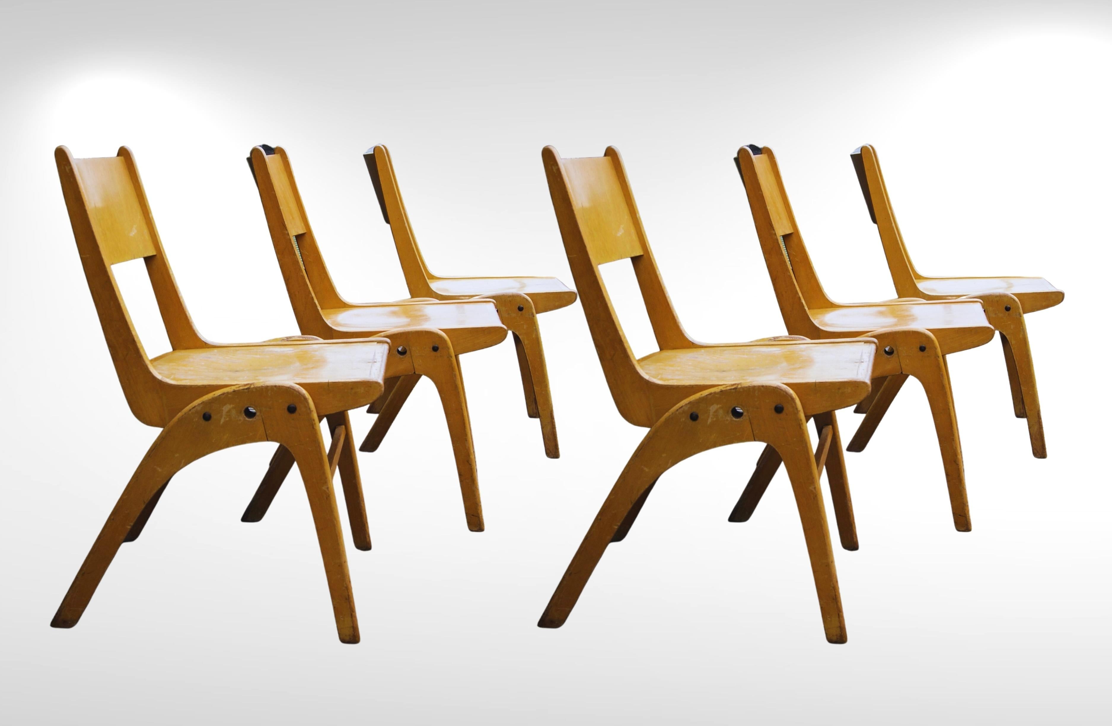 Bois 1950s Bauhaus Era Muster Casala Beech Stacking Dining Chairs Set of 6 en vente