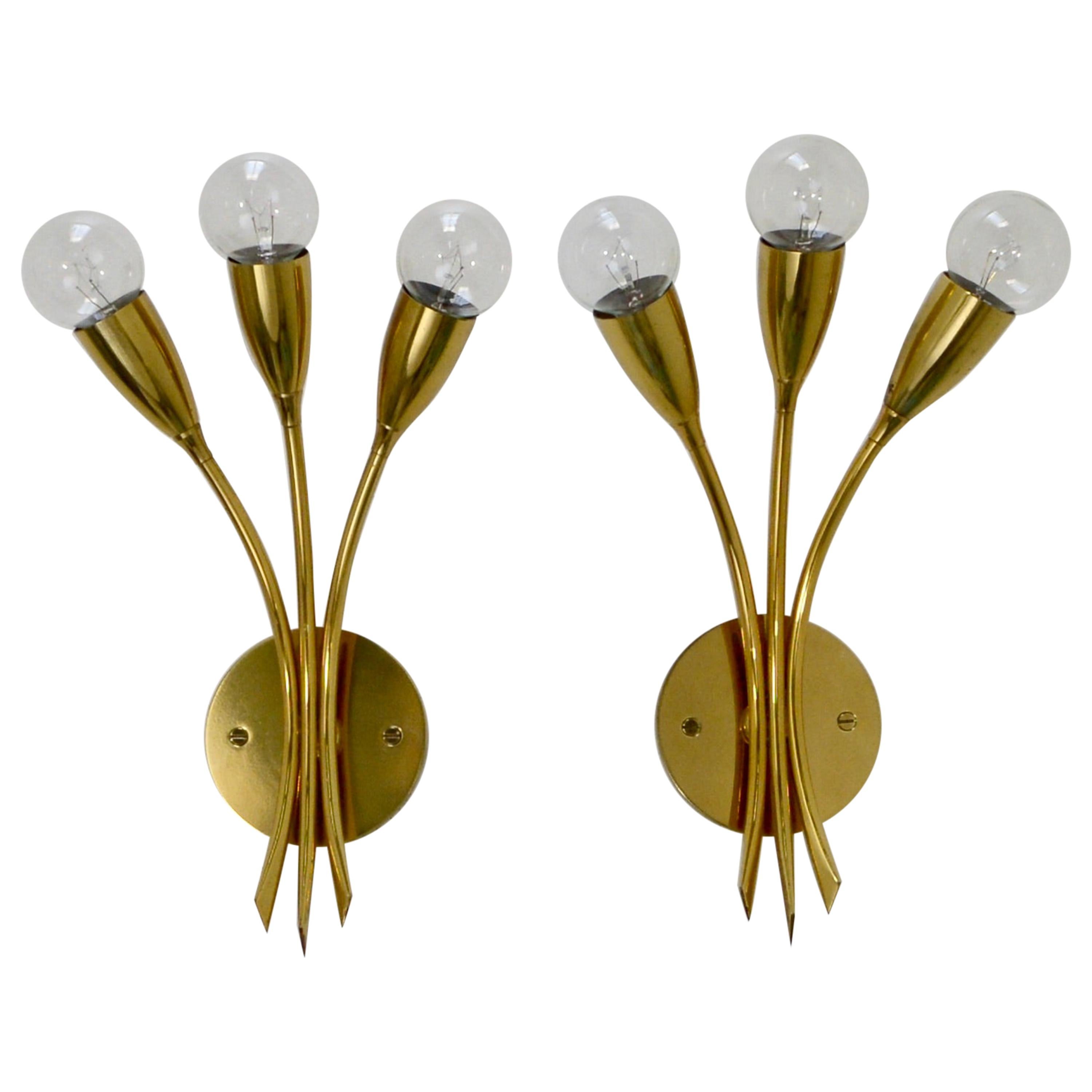 1950s Botanical Sconces