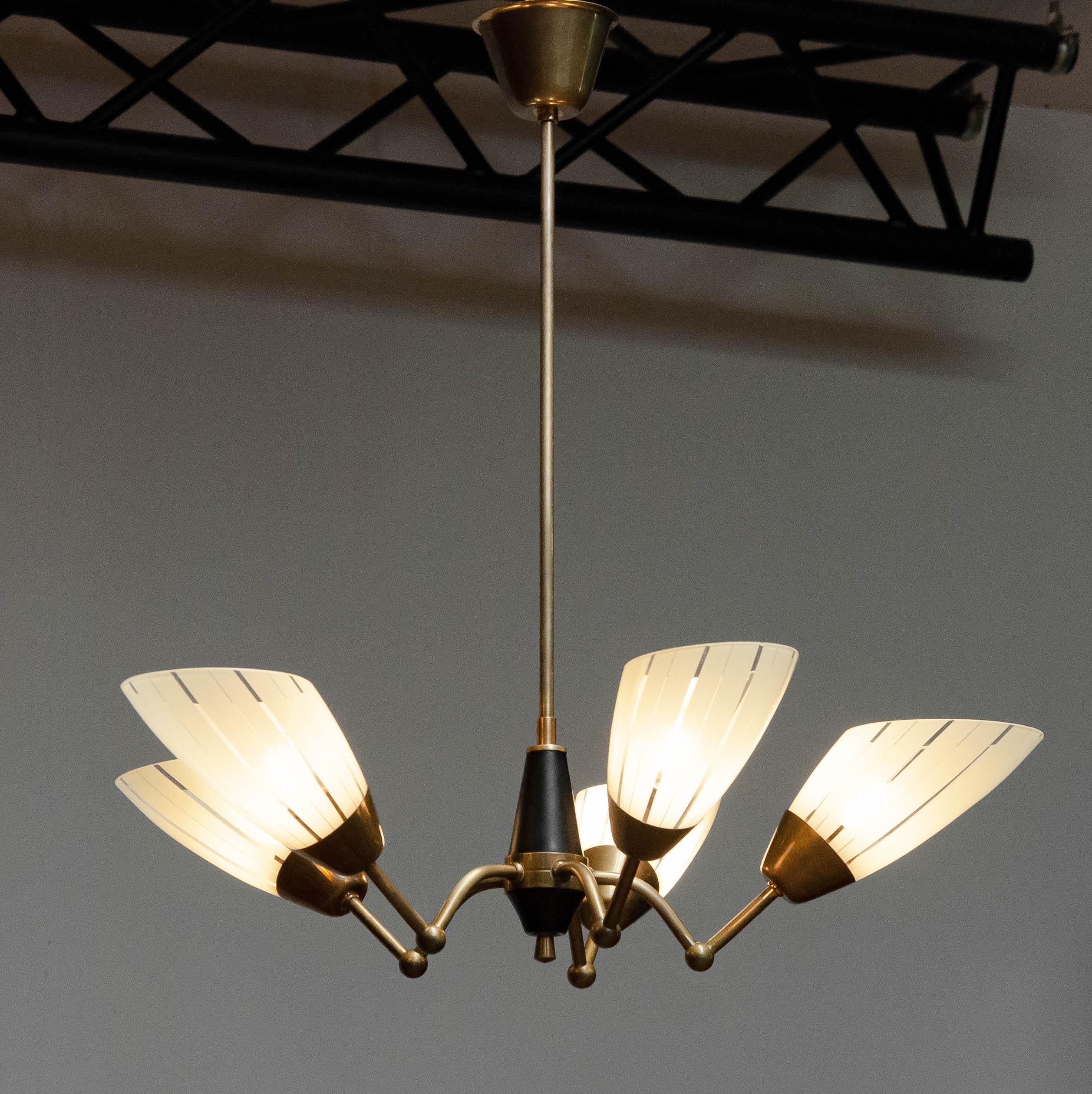 Mid-Century Modern 1950s Brass And Black Five Armes German Sputnik Chandelier With Art Glass Shades For Sale