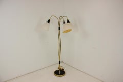 1950s Brass Floor Lamp, Czechoslovakia