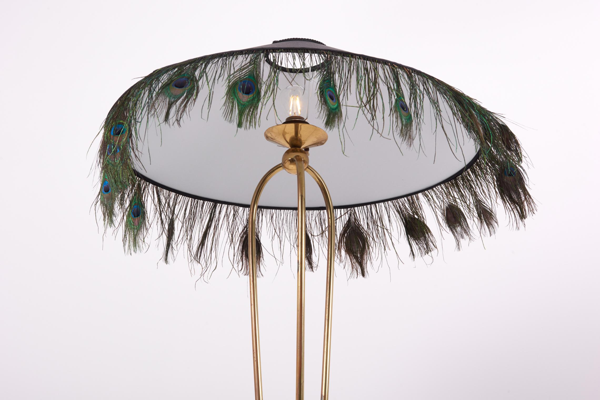 European 1950s Brass Floor Lamp with Peacock Feathers