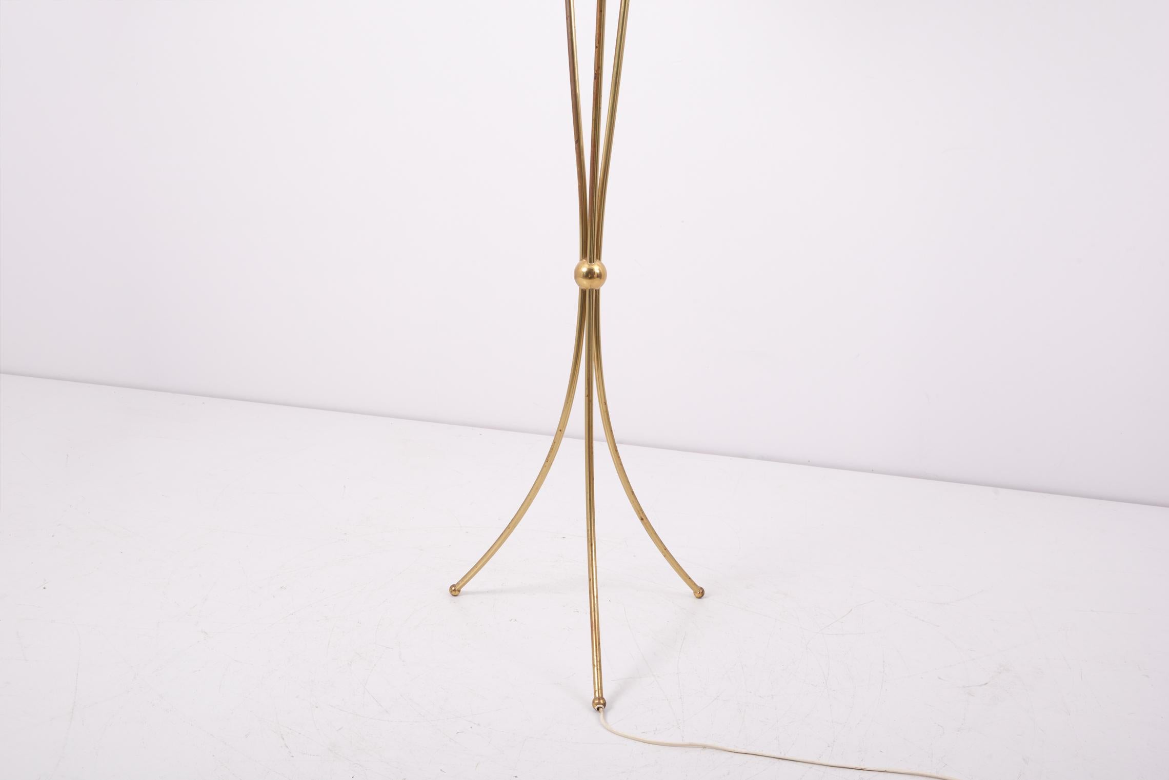 20th Century 1950s Brass Floor Lamp with Peacock Feathers