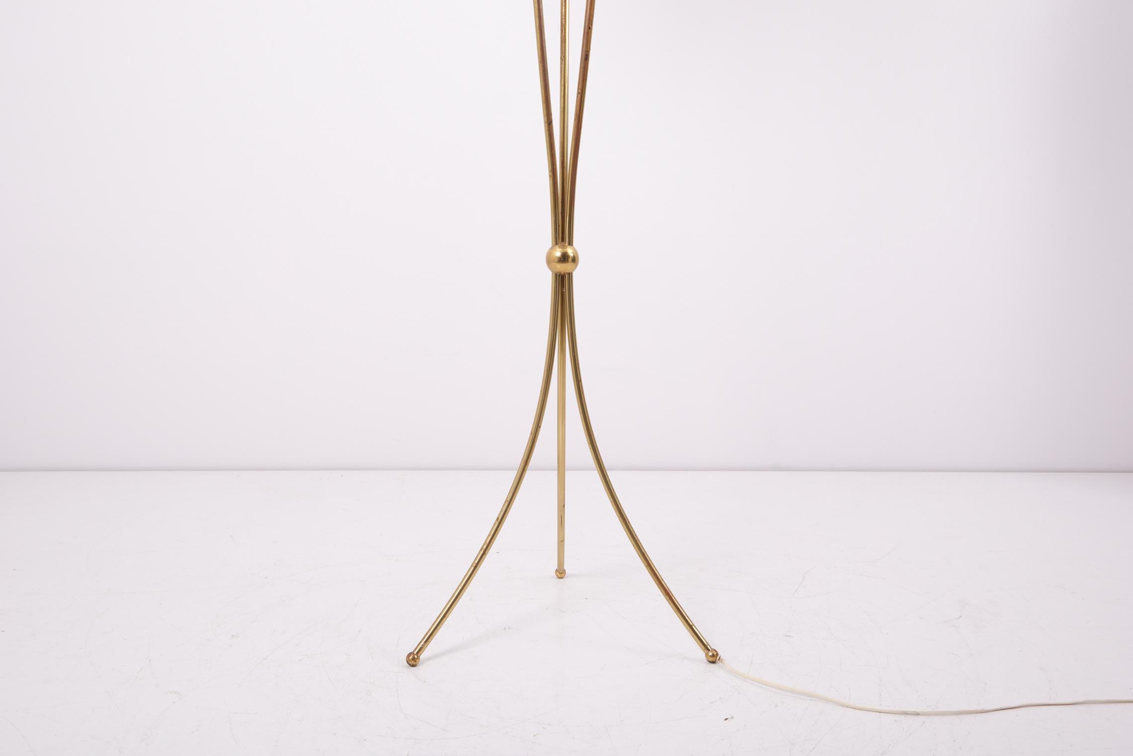 1950s Brass Floor Lamp with Peacock Feathers 1