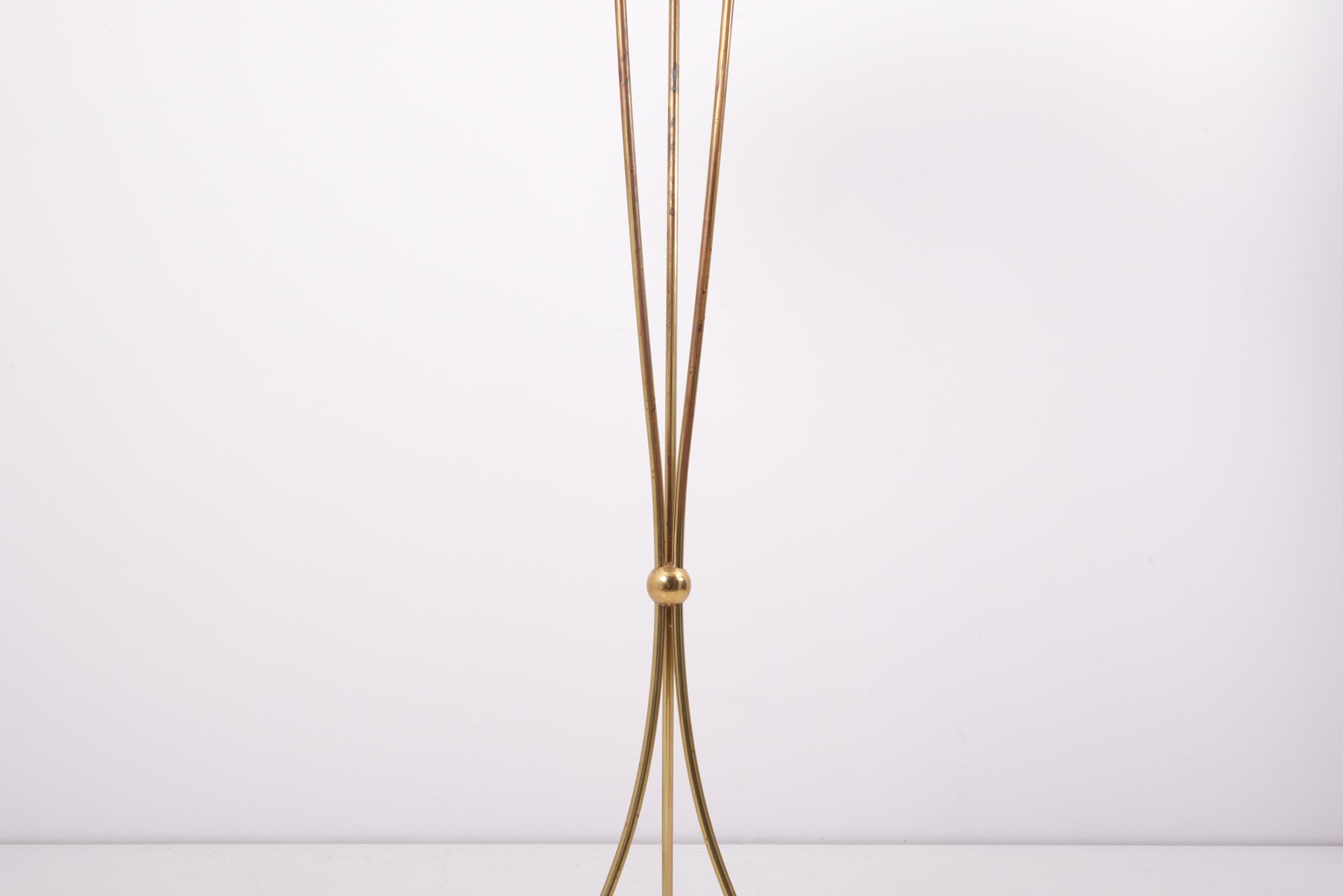 1950s Brass Floor Lamp with Peacock Feathers 2