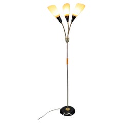 Lampadaire réglable en laiton et verre des années 1950 avec détails en bois