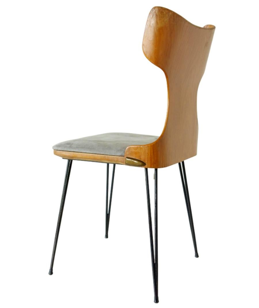 Mid-Century Modern 1950s Carlo Ratti Italian Midcentury Design Bentwood Chair Set of 2 For Sale