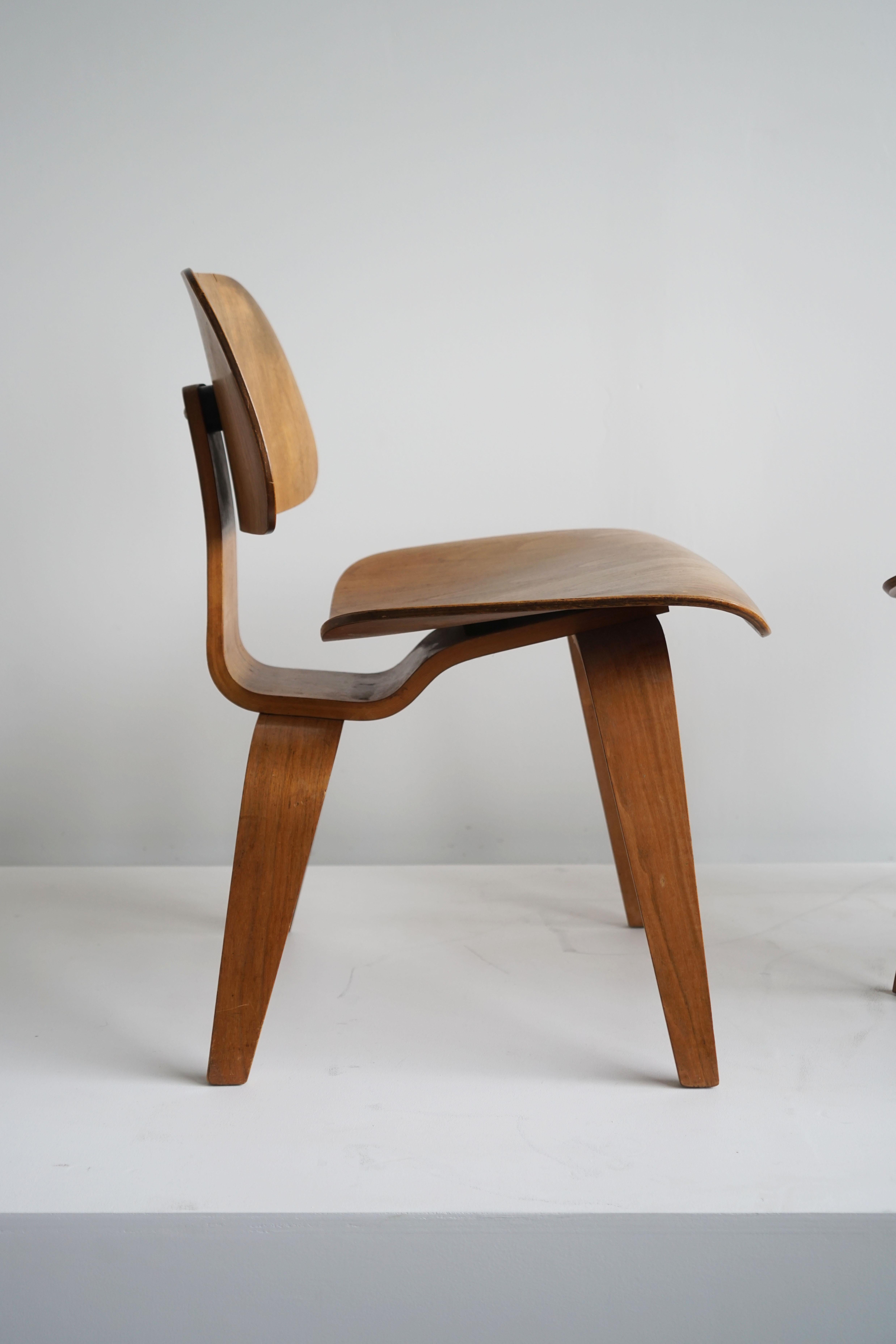 1950's Charles and Ray Eames DCW Plywood Chairs for Herman Miller, Pair 6