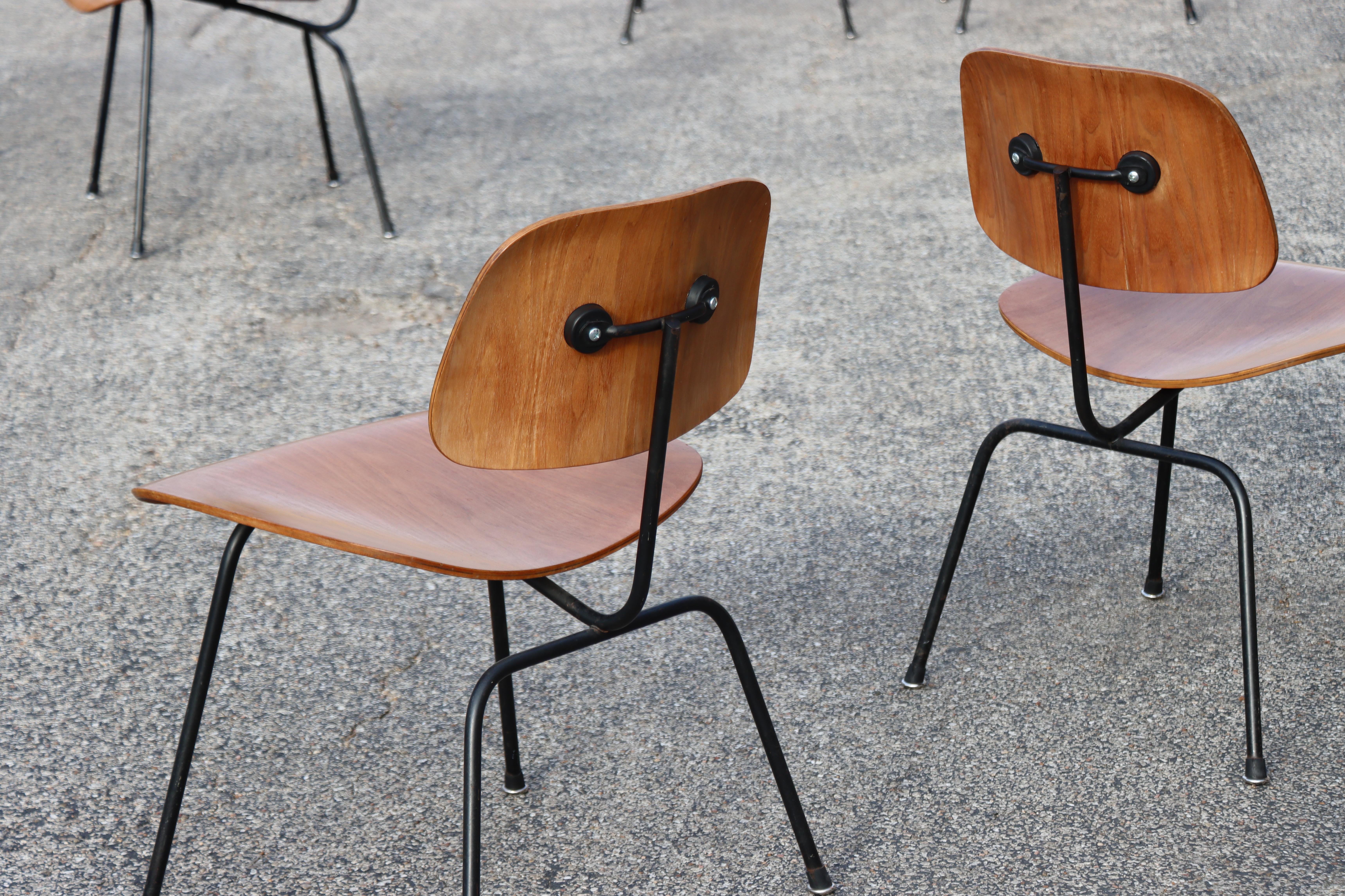 Sedie da pranzo Charles Eames per Herman Miller del 1950, DCM, noce, struttura nera in vendita 2