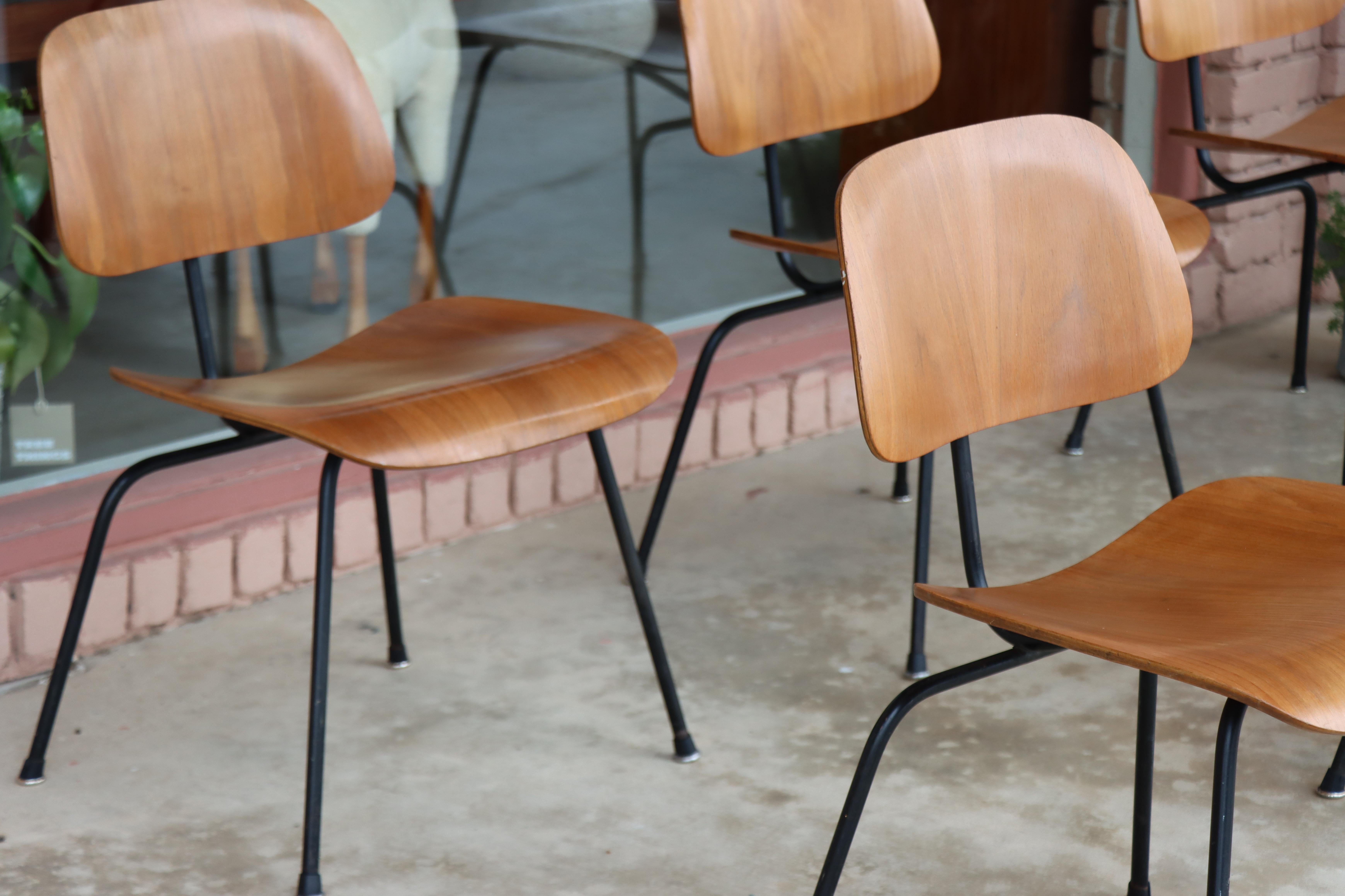 Sedie da pranzo Charles Eames per Herman Miller del 1950, DCM, noce, struttura nera in vendita 3