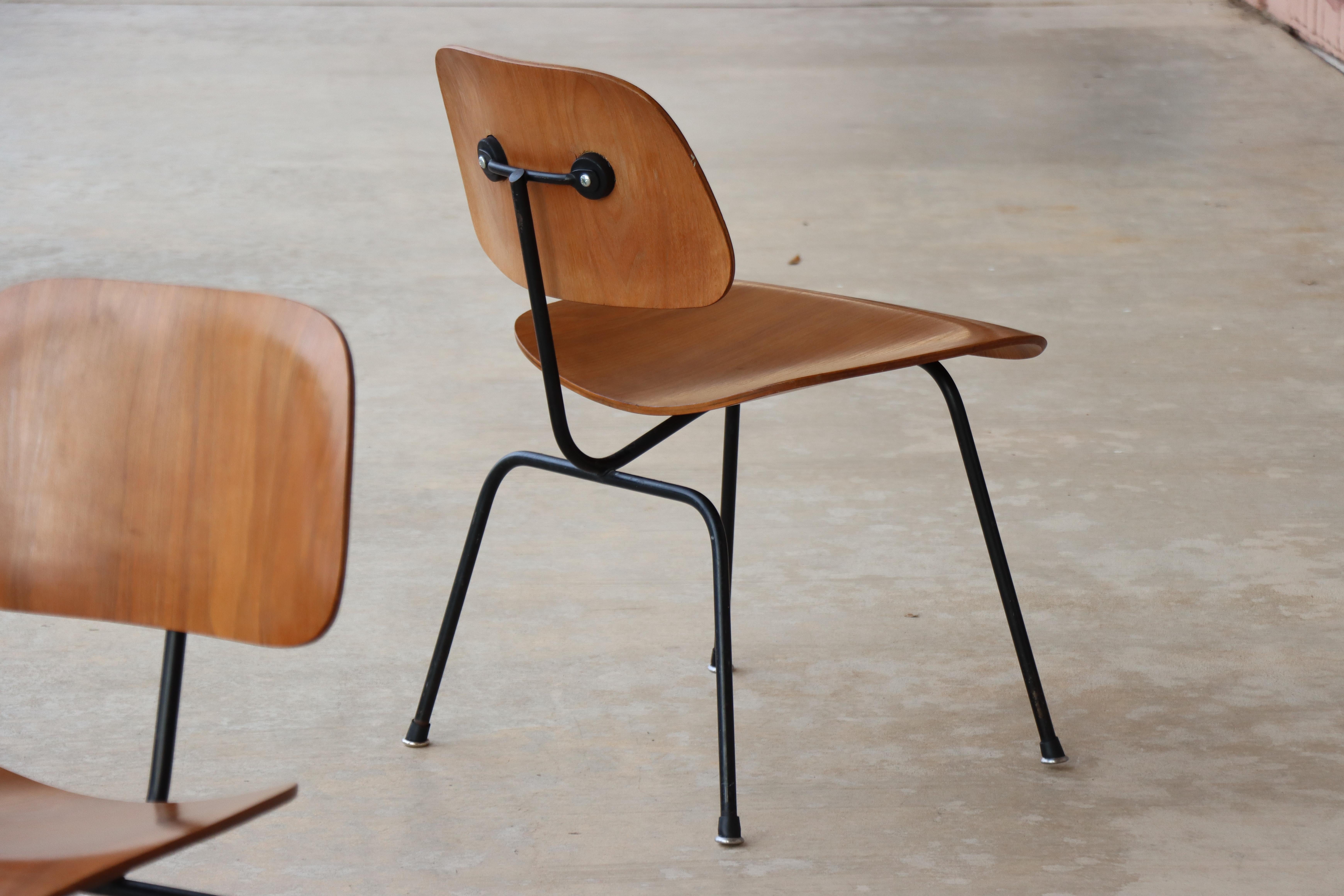 Sedie da pranzo Charles Eames per Herman Miller del 1950, DCM, noce, struttura nera in vendita 6