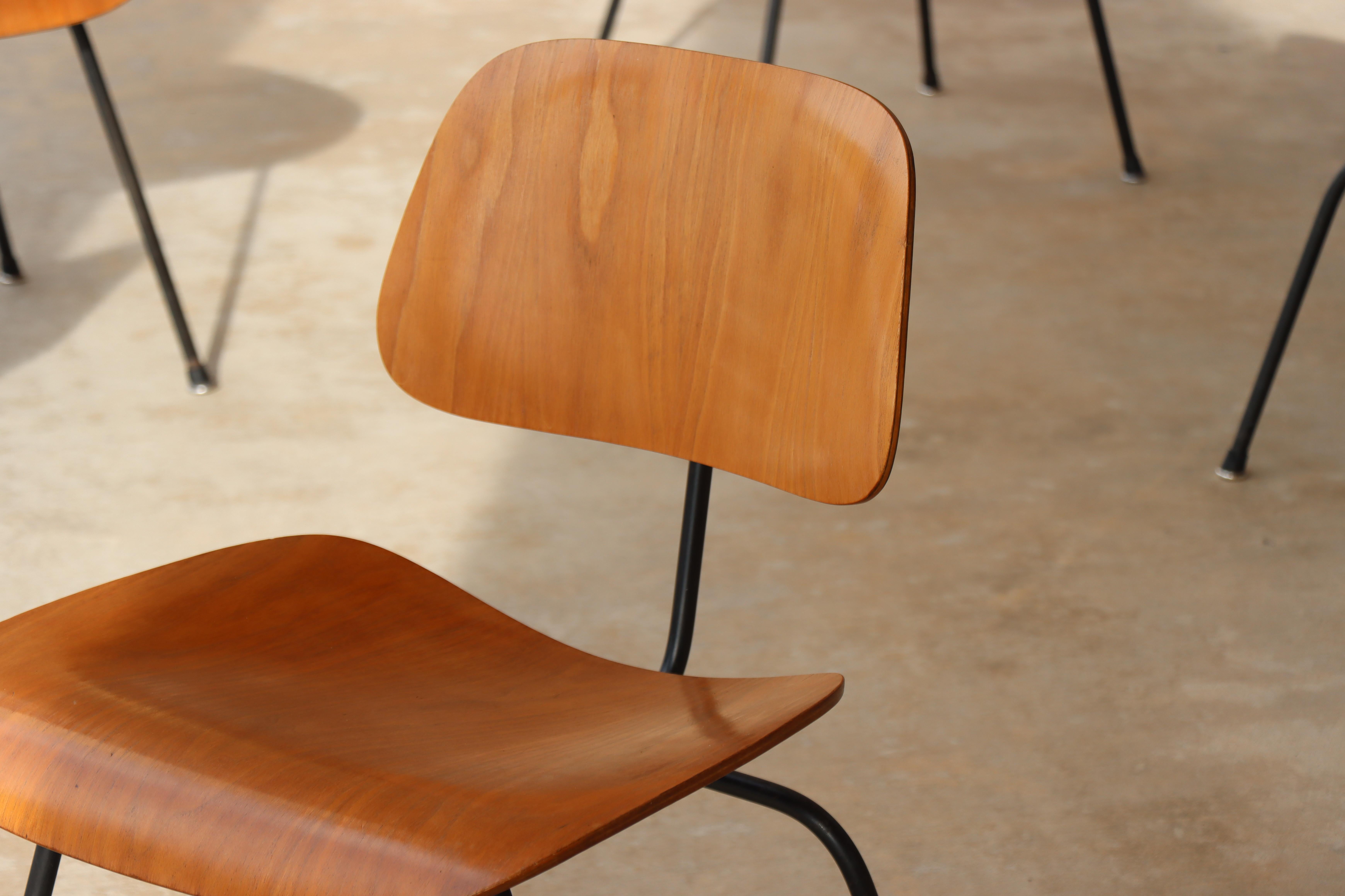 Sedie da pranzo Charles Eames per Herman Miller del 1950, DCM, noce, struttura nera in vendita 7