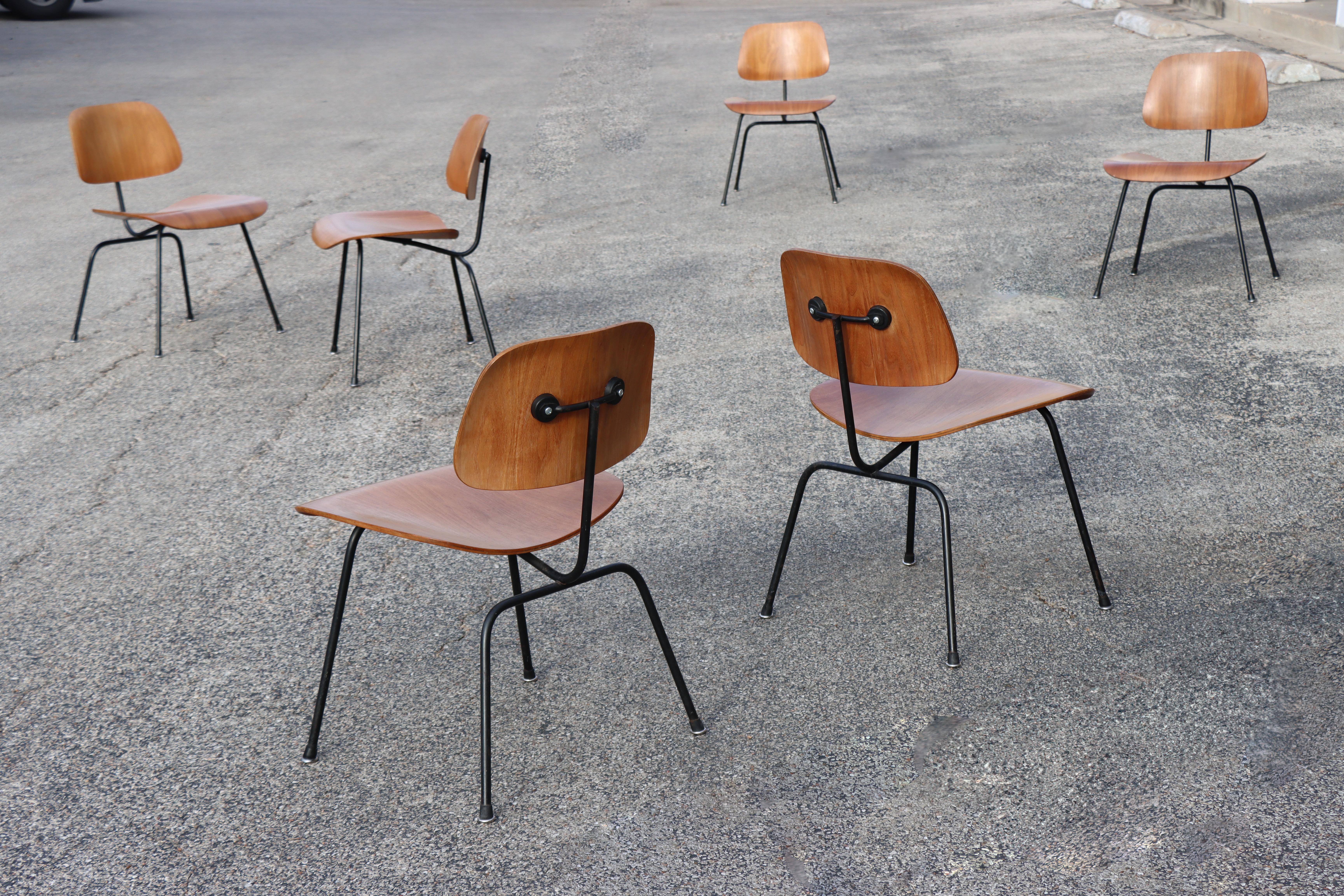 Mid-Century moderno Sedie da pranzo Charles Eames per Herman Miller del 1950, DCM, noce, struttura nera in vendita