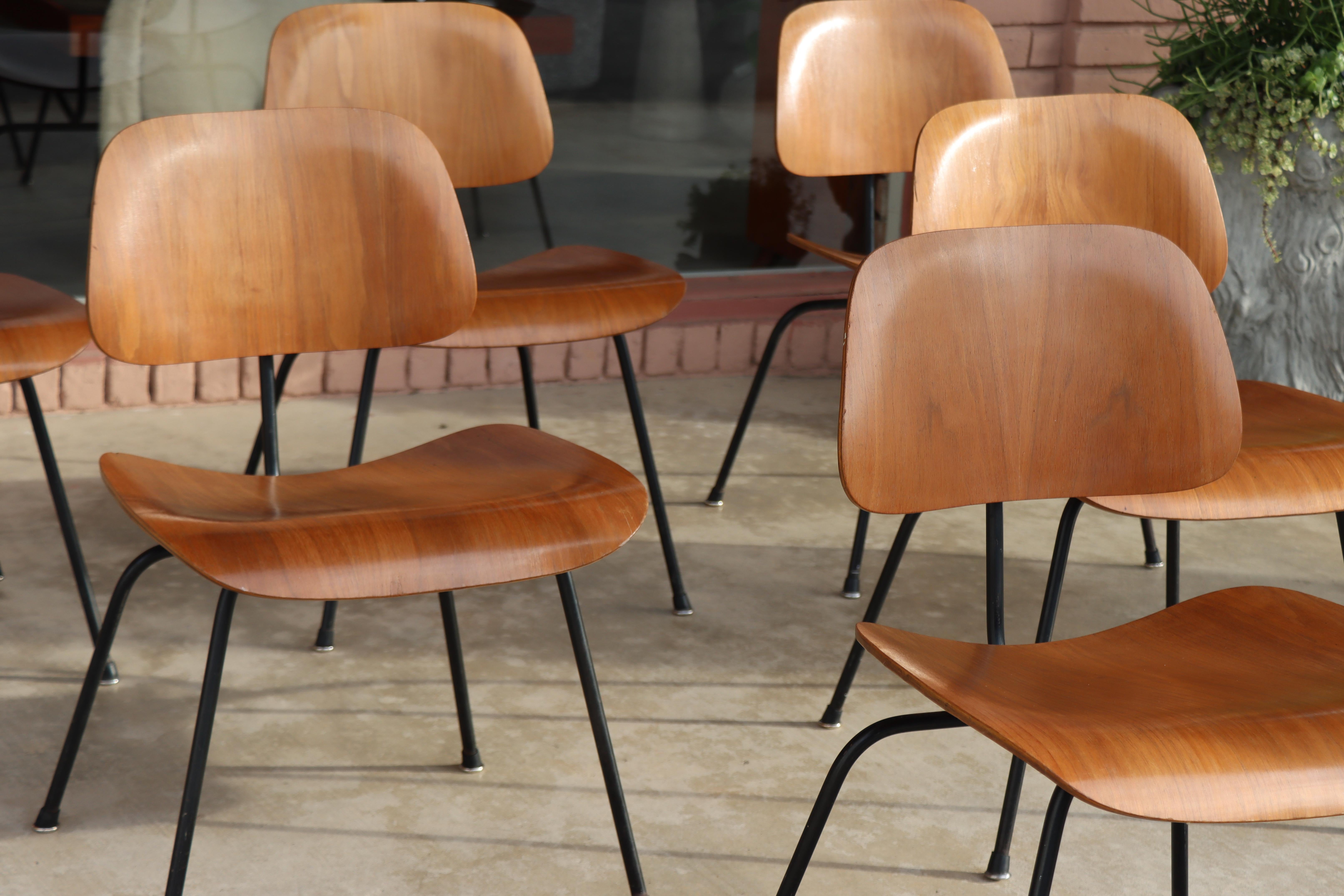 Metà XX secolo Sedie da pranzo Charles Eames per Herman Miller del 1950, DCM, noce, struttura nera in vendita