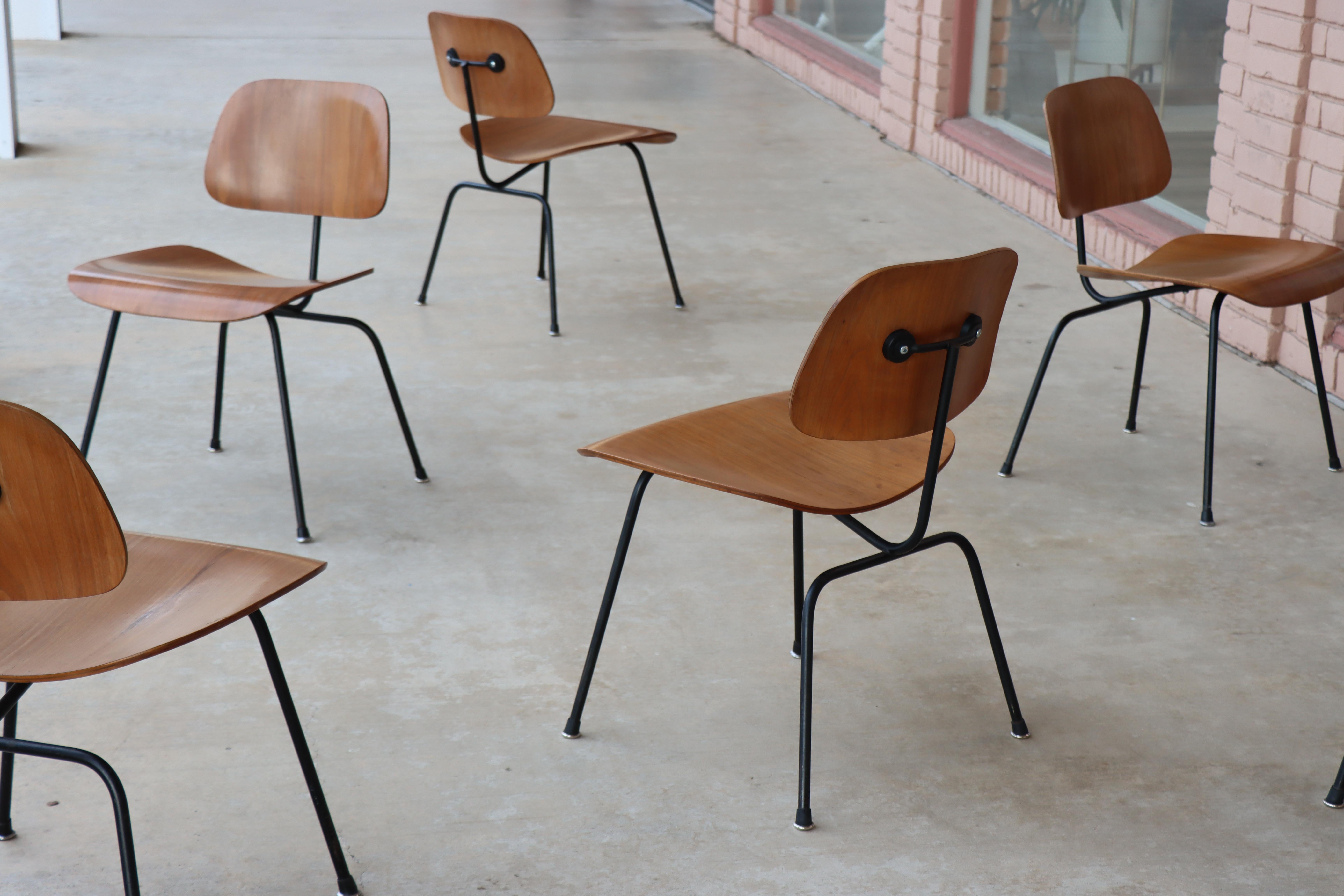Sedie da pranzo Charles Eames per Herman Miller del 1950, DCM, noce, struttura nera in vendita 1
