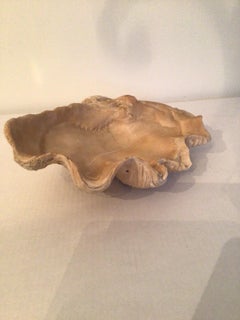 1950s Clam Shell