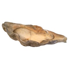 1950s Clam Shell