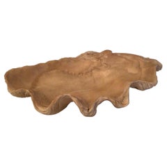 1950s Clam Shell