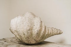 1950's Concrete XL Shell