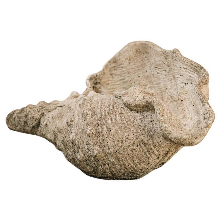 1950's Concrete XL Shell For Sale at 1stDibs