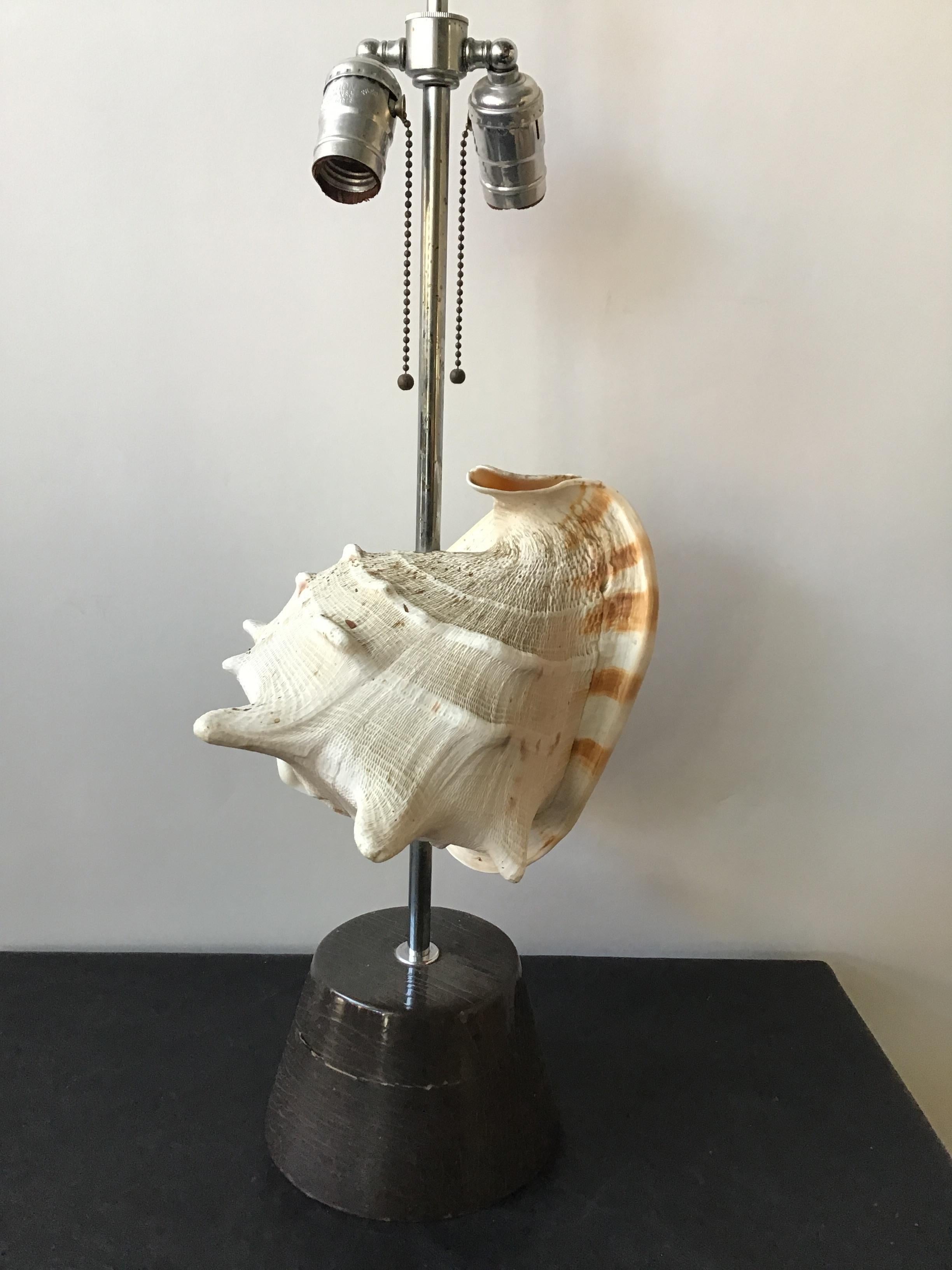 1950s conk shell lamp. She’ll spins so can be shown in any position. Wood base.