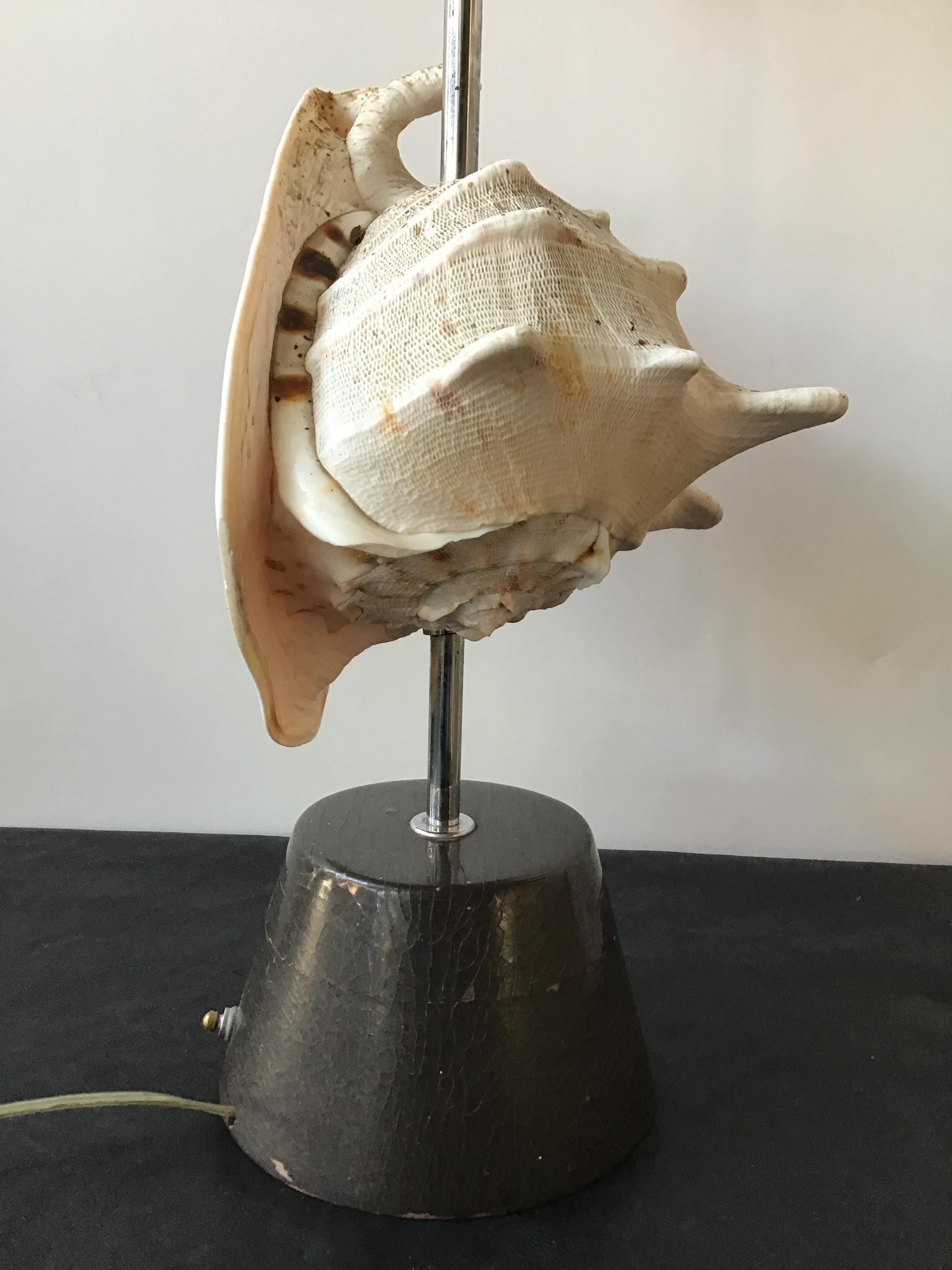 Mid-20th Century 1950s Conk Shell Lamp