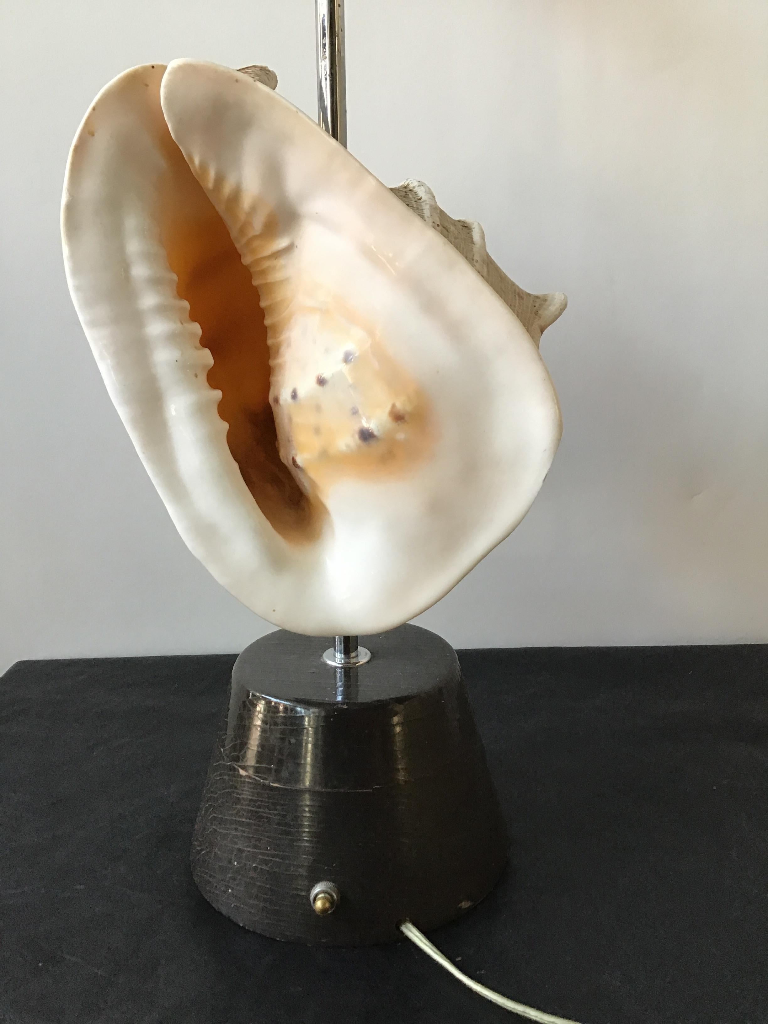 1950s Conk Shell Lamp 1