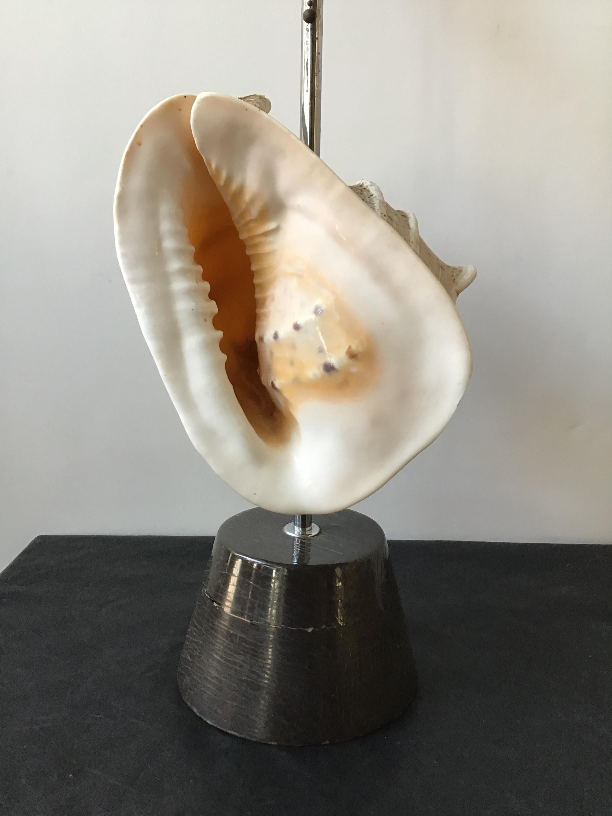 1950s Conk Shell Lamp 3