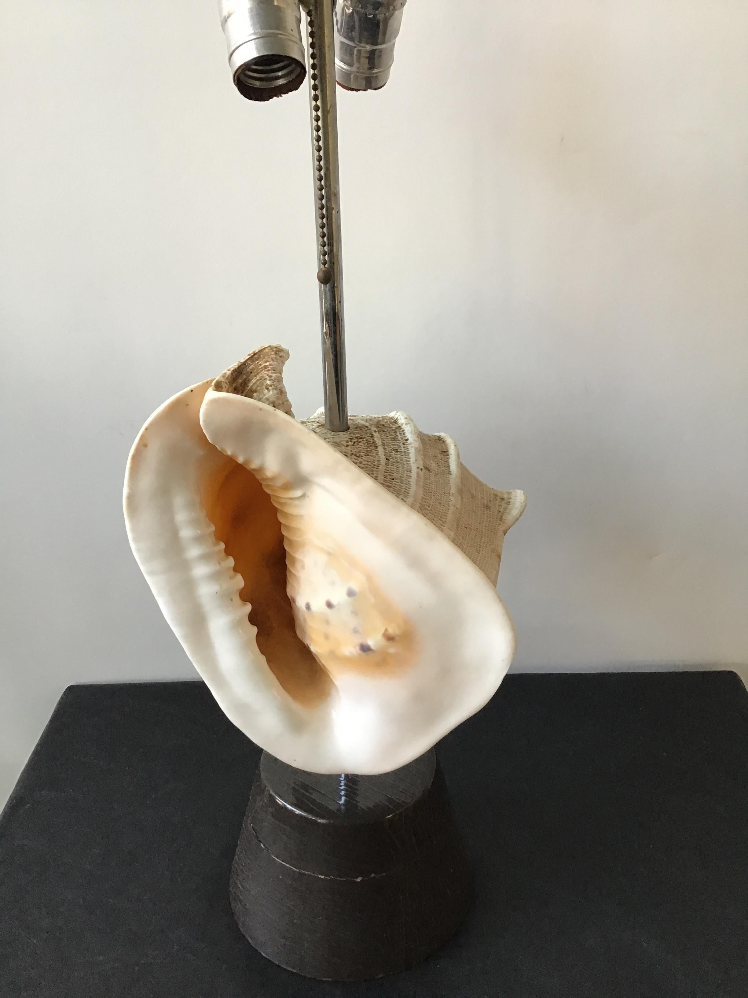 1950s Conk Shell Lamp 4