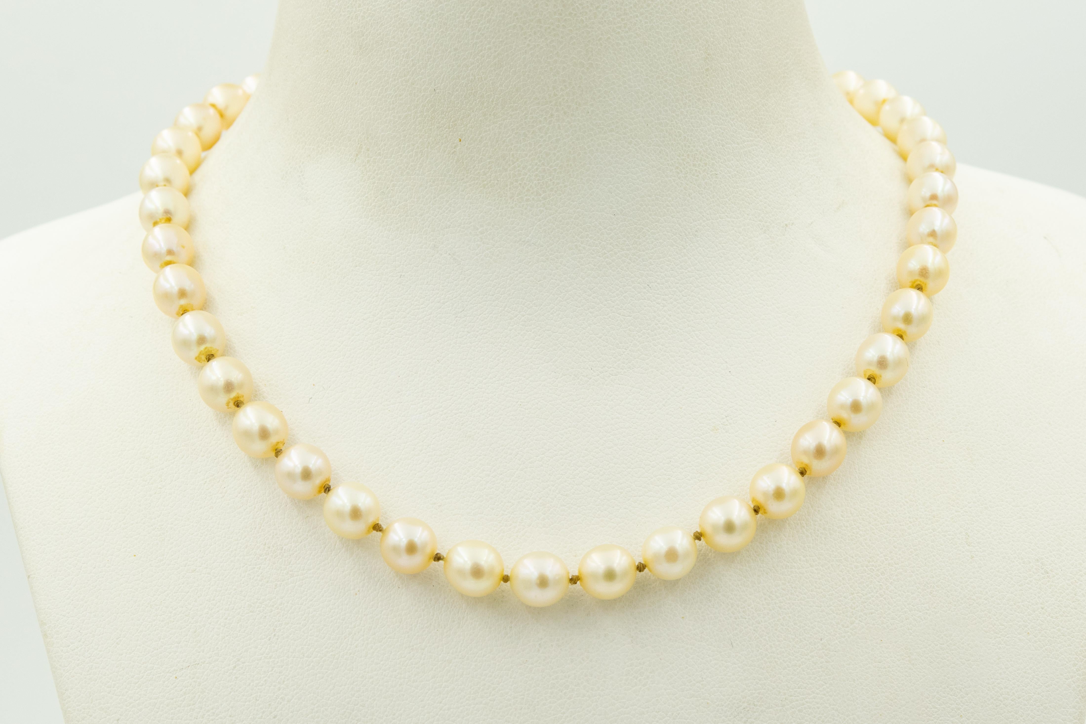 Classic mid century cultured pearl necklace featuring a strand of 7.3 mm pearls (approximate some variation).  The strand is knotted between each pearl.  The clasp is a cluster of pearls raise up a bit like a dome.  To open it you push down on the