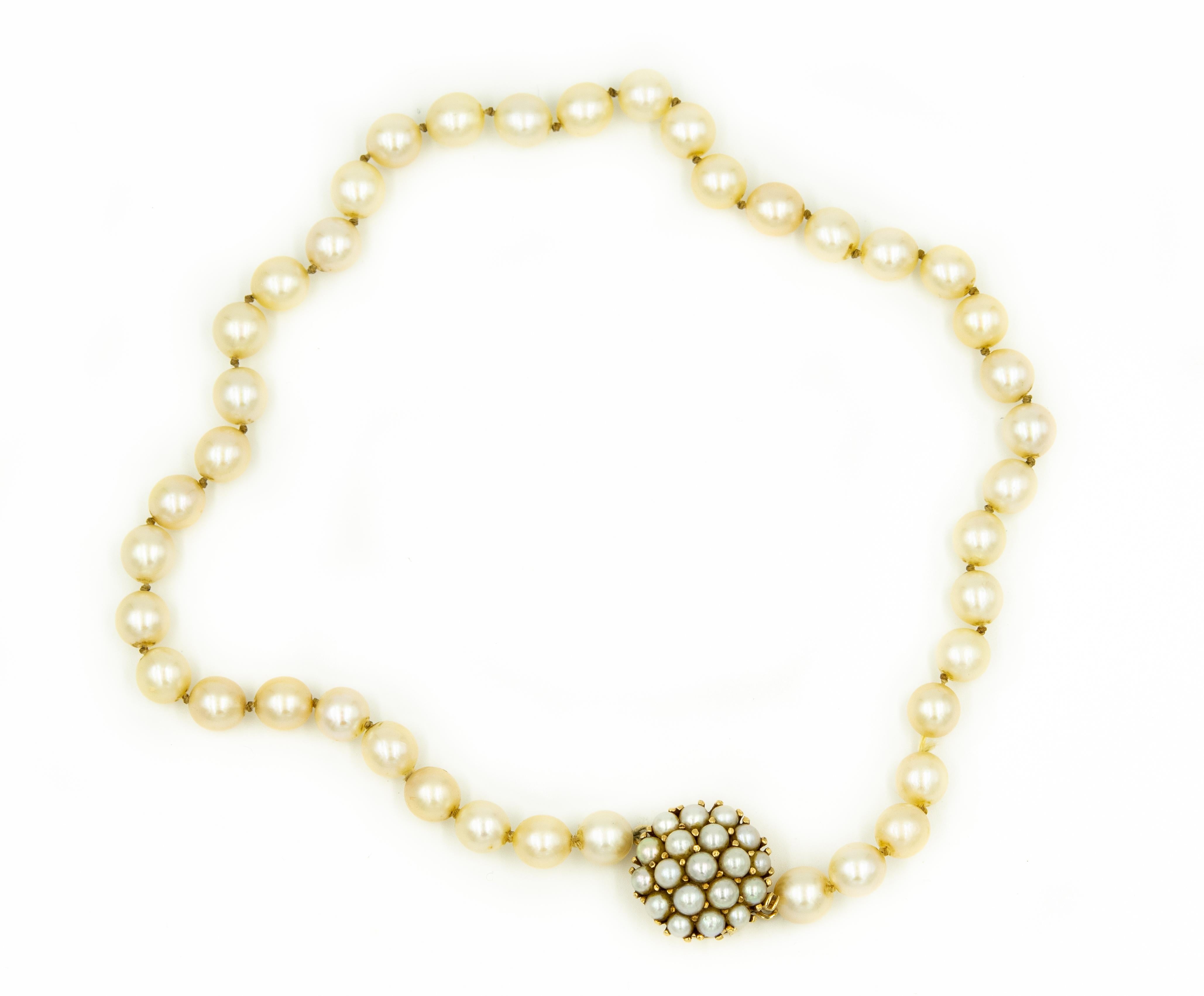 Bead 1950s Cultured Pearl Strand with Pearl Dome Cluster Yellow Gold Clasp Necklace For Sale