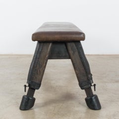 1950s Czech Chocolate Leather Gym Horse