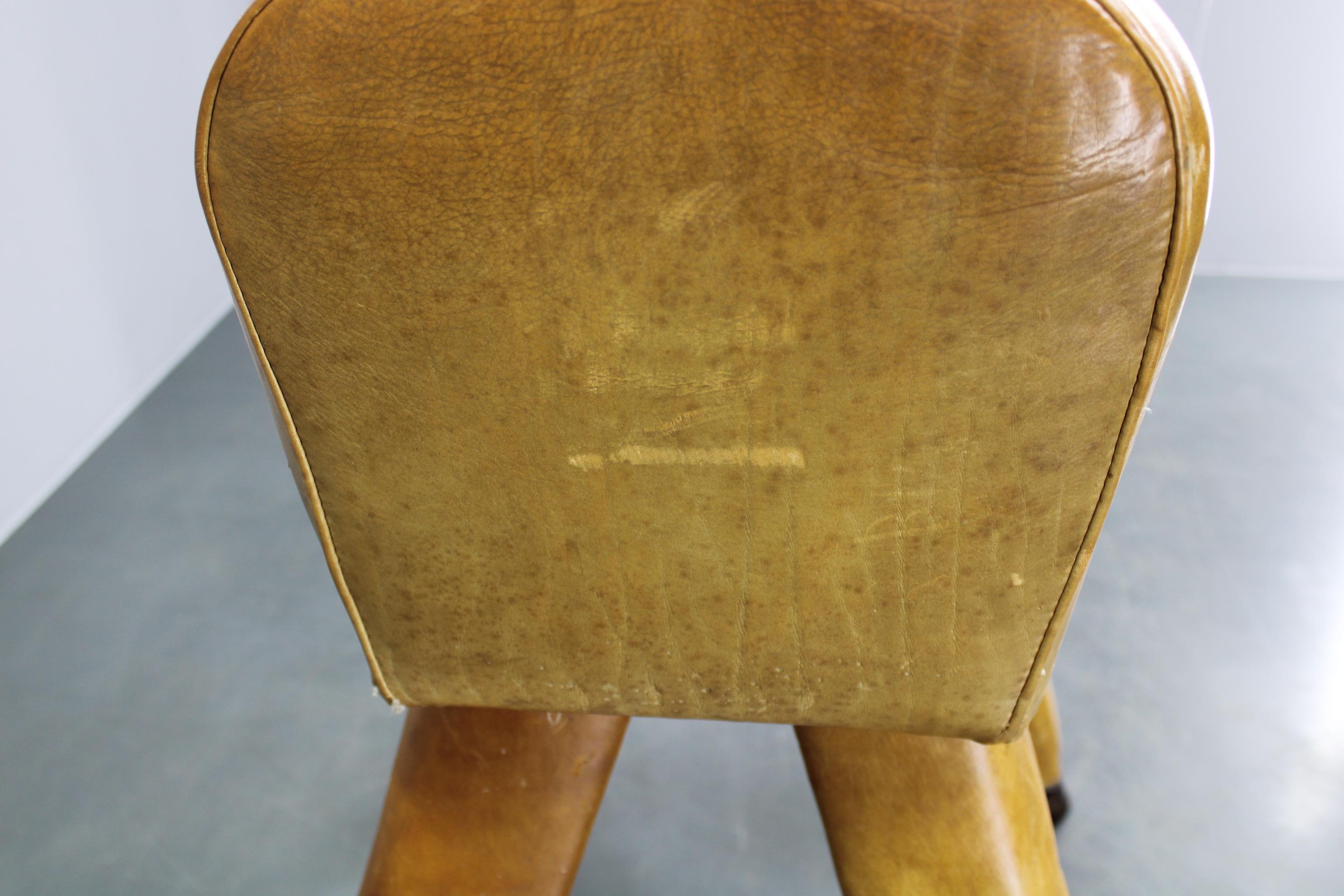 Cavallo da ginnastica in pelle e legno cecoslovacco del 1950, altezza regolabile in vendita 7