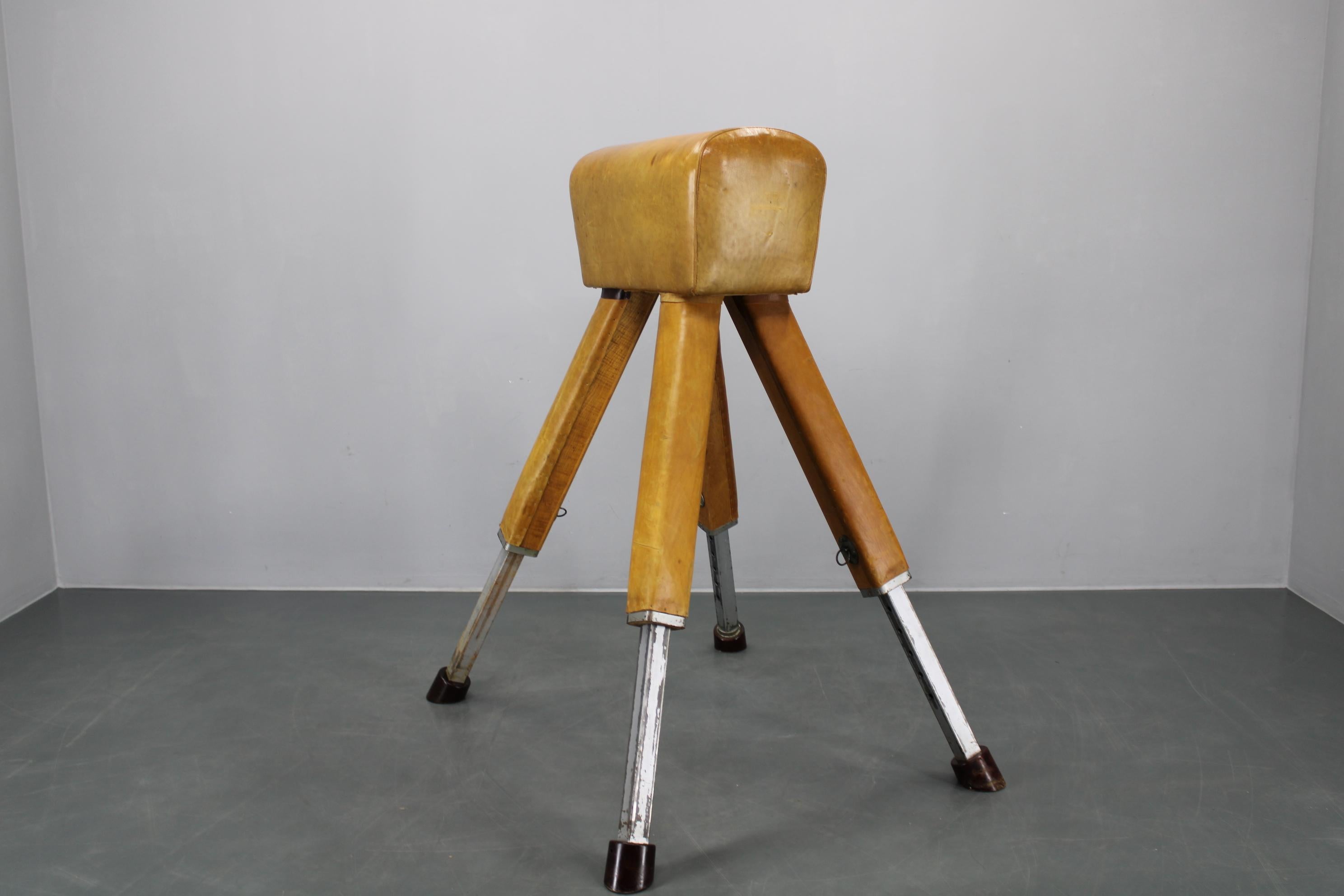 Cavallo da ginnastica in pelle e legno cecoslovacco del 1950, altezza regolabile in vendita 12