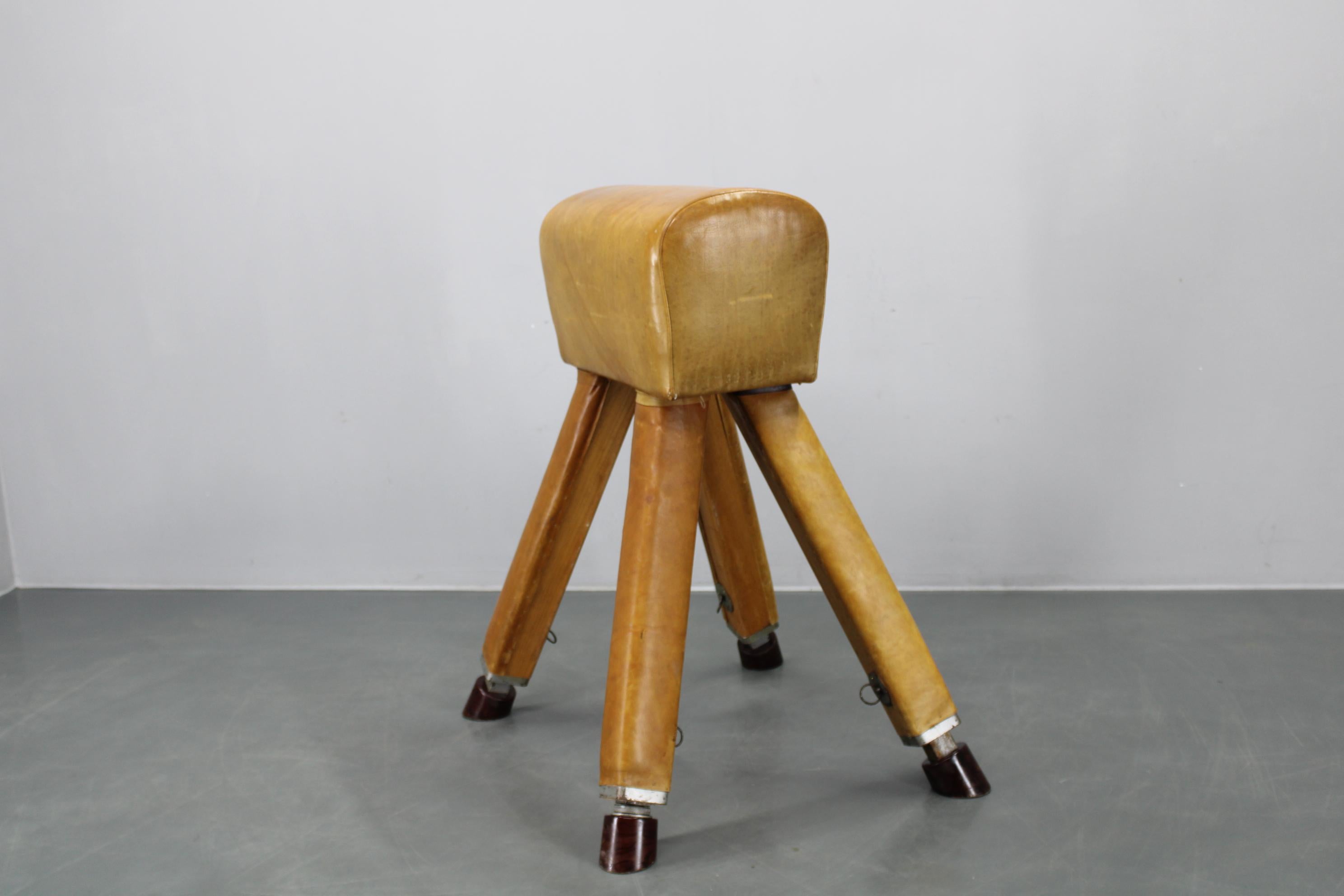 Cavallo da ginnastica vintage prodotto in Cecoslovacchia, circa anni '50, con altezza regolabile per un uso versatile. Realizzato con uno spesso rivestimento in pelle naturale, un corpo in legno massiccio e piedini in bachelite, mette in risalto