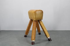 1950s Czechoslovakian Leather & Wood Gymnastic Pommel Horse, Adjustable Height