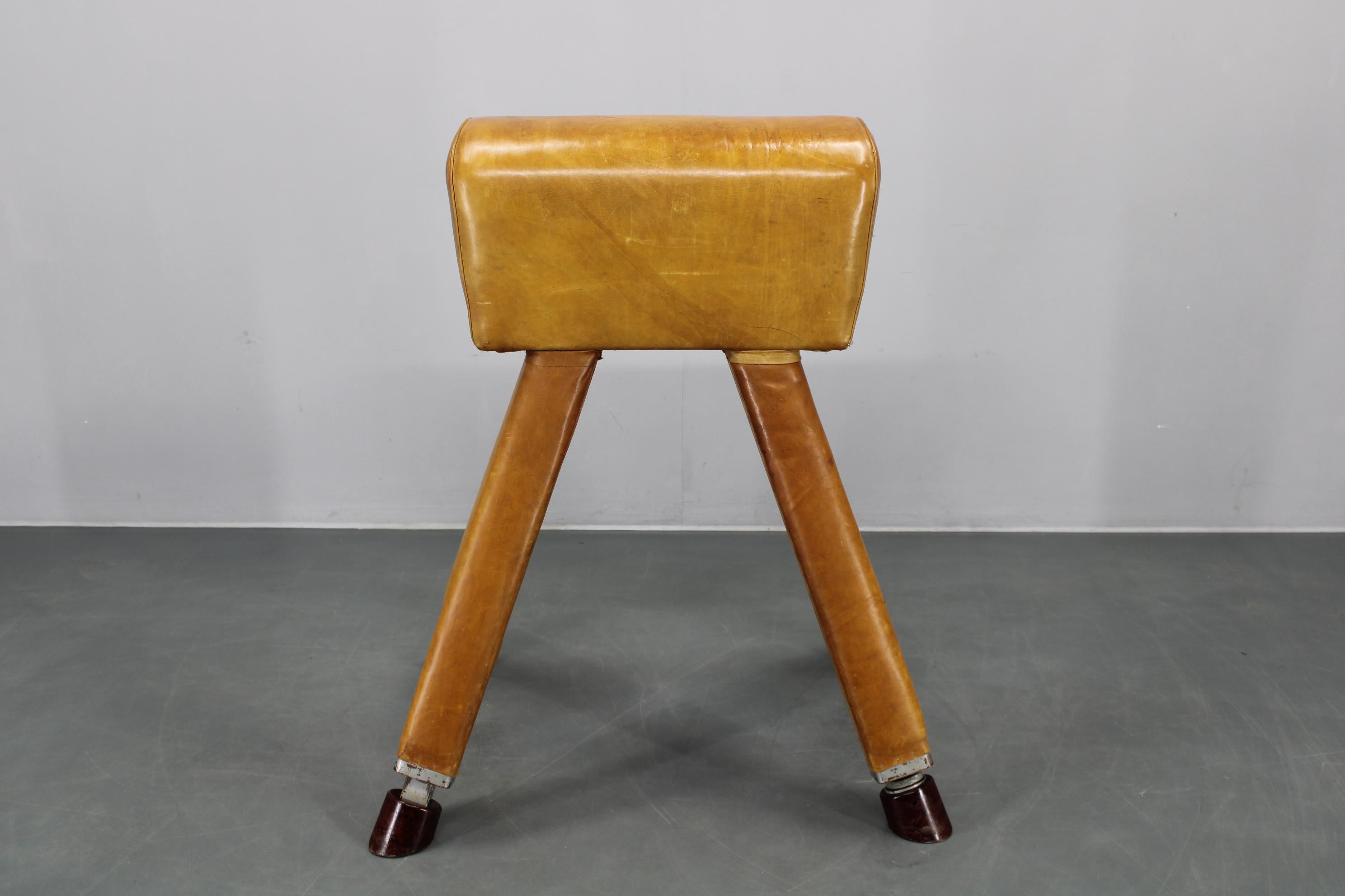 Mid-Century moderno Cavallo da ginnastica in pelle e legno cecoslovacco del 1950, altezza regolabile in vendita
