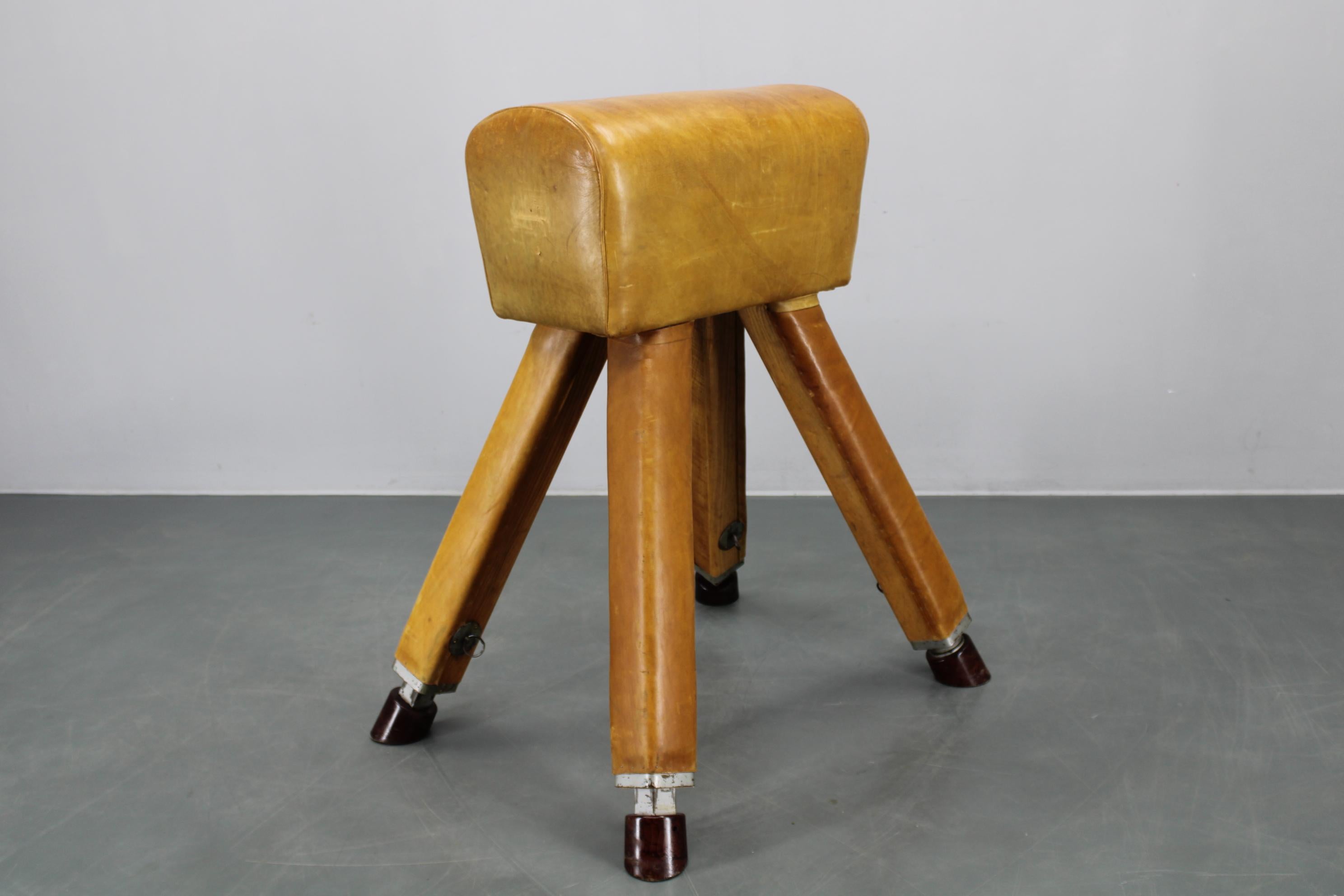 Ceco Cavallo da ginnastica in pelle e legno cecoslovacco del 1950, altezza regolabile in vendita