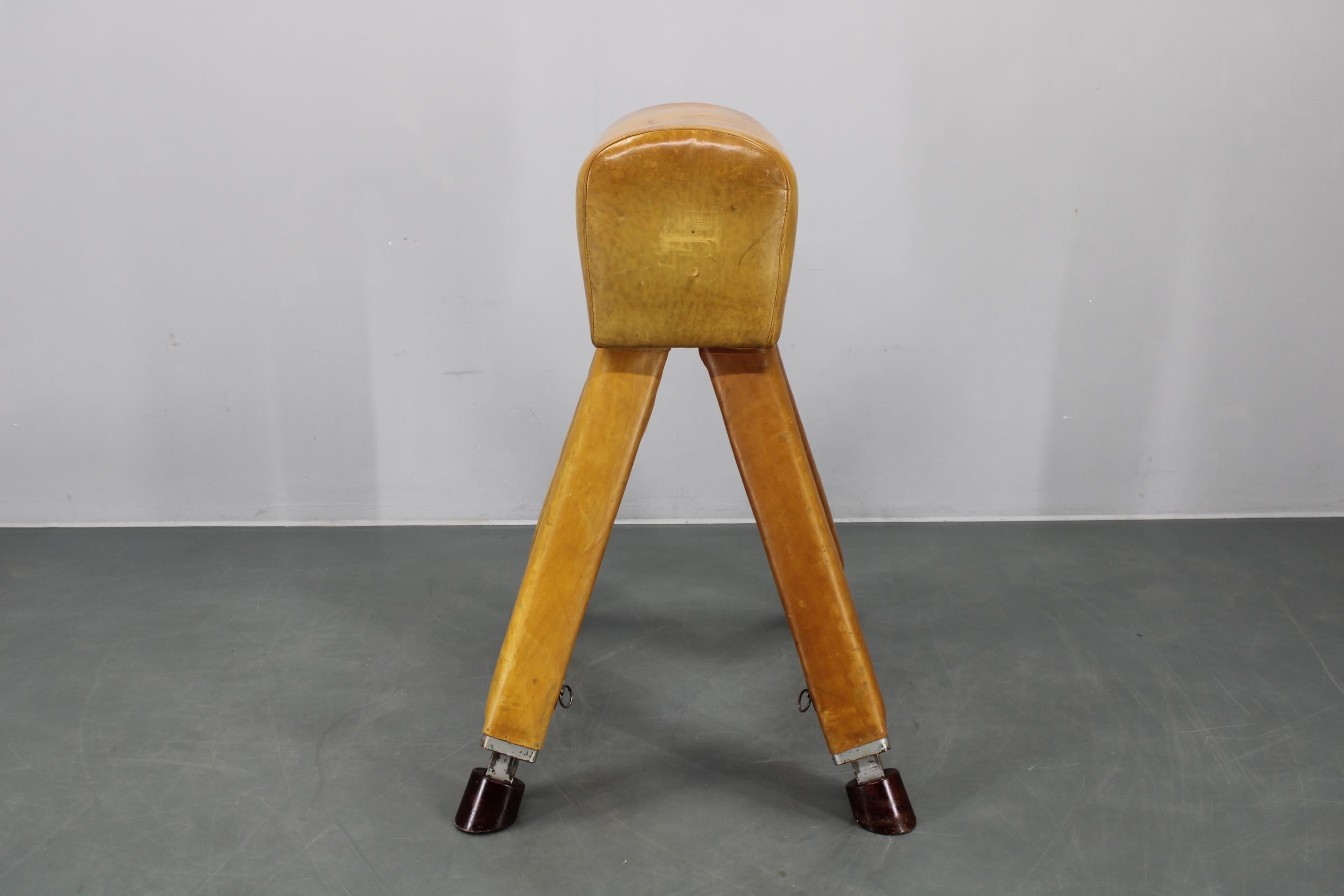 Cavallo da ginnastica in pelle e legno cecoslovacco del 1950, altezza regolabile In condizioni buone in vendita a Praha, CZ
