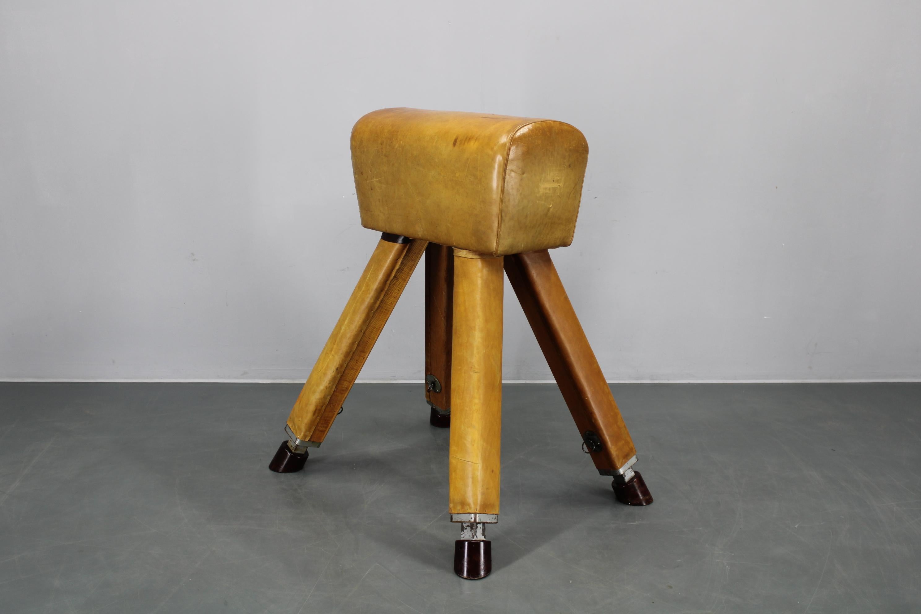 Metà XX secolo Cavallo da ginnastica in pelle e legno cecoslovacco del 1950, altezza regolabile in vendita