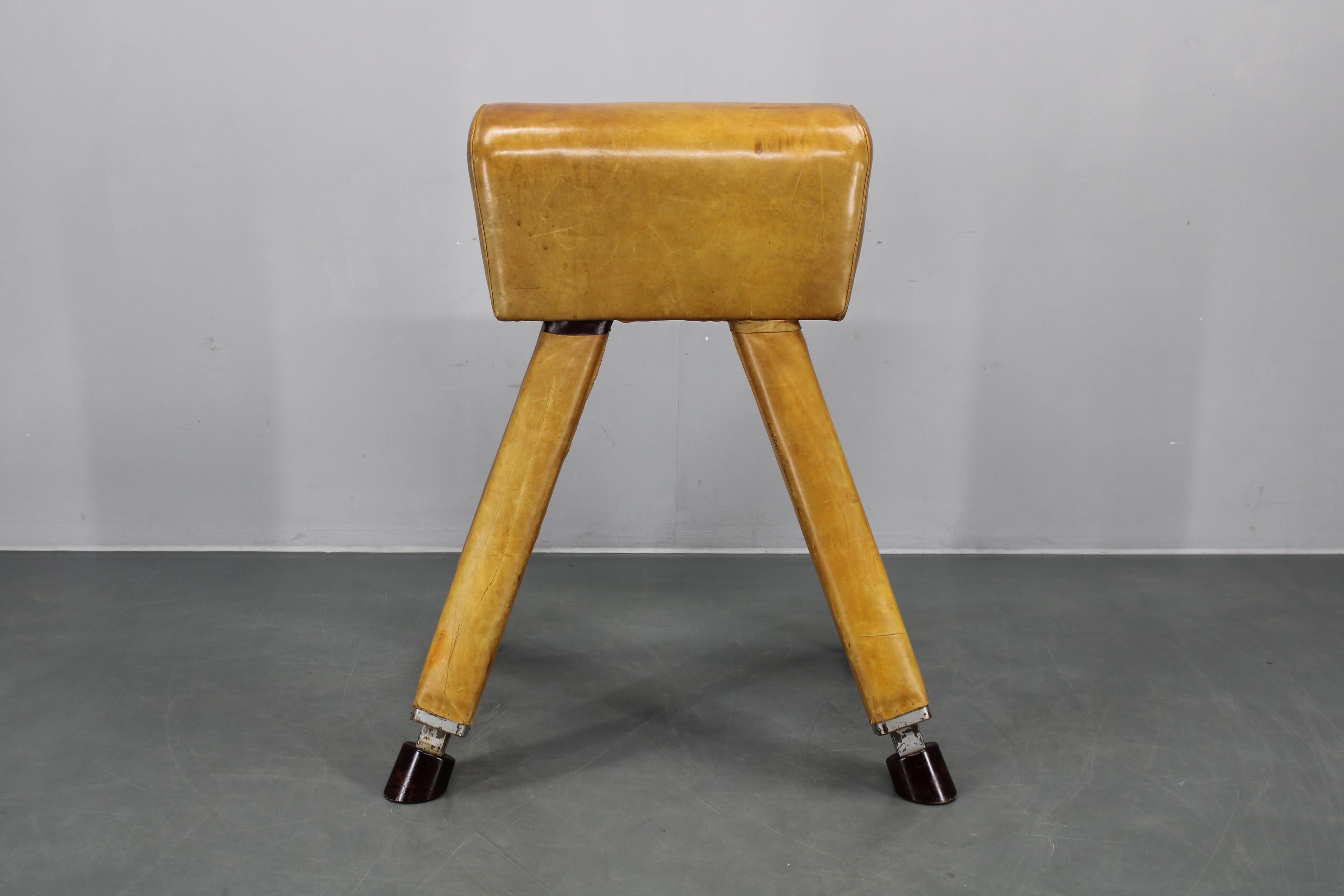 Pelle Cavallo da ginnastica in pelle e legno cecoslovacco del 1950, altezza regolabile in vendita