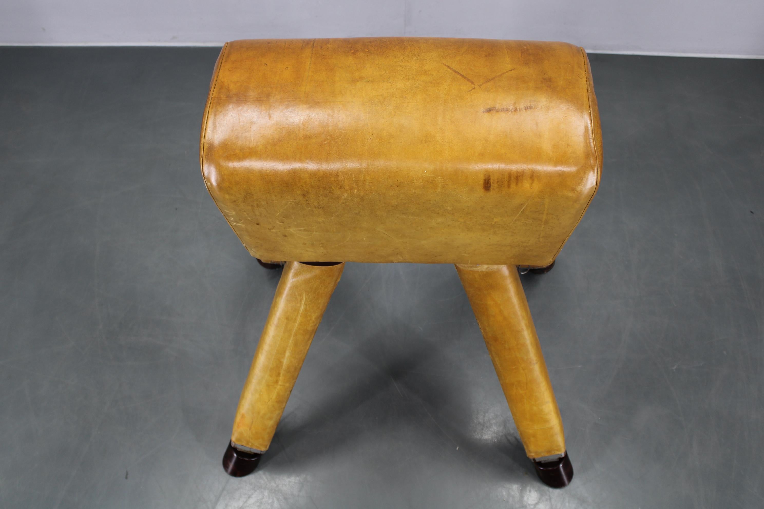 Cavallo da ginnastica in pelle e legno cecoslovacco del 1950, altezza regolabile in vendita 2