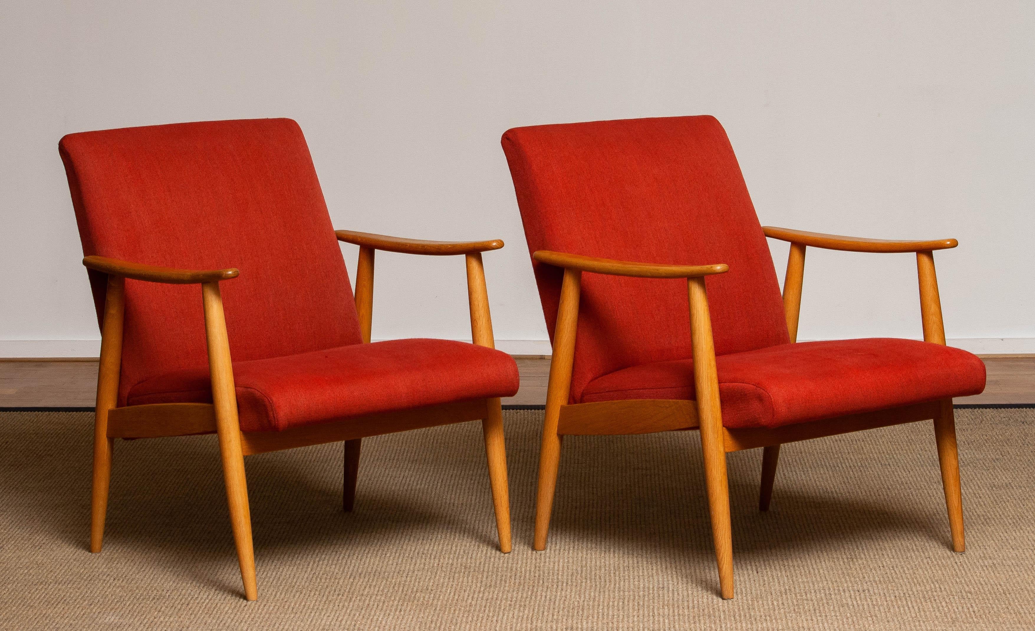 1950s Danish Pair of Slim Oak Cigar / Lounge Chairs Upholstered Vintage Red Wool 7