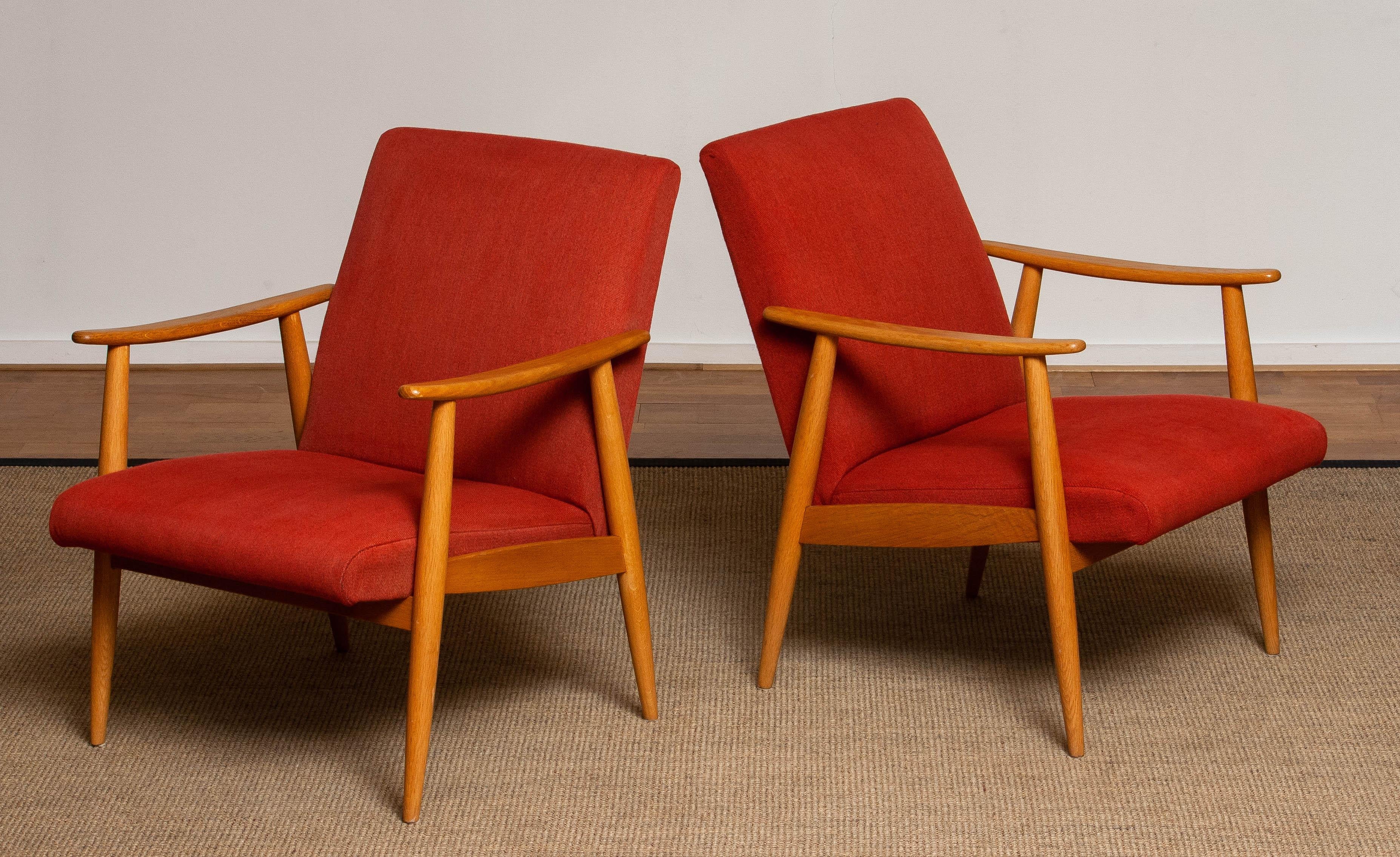 1950s Danish Pair of Slim Oak Cigar / Lounge Chairs Upholstered Vintage Red Wool 4