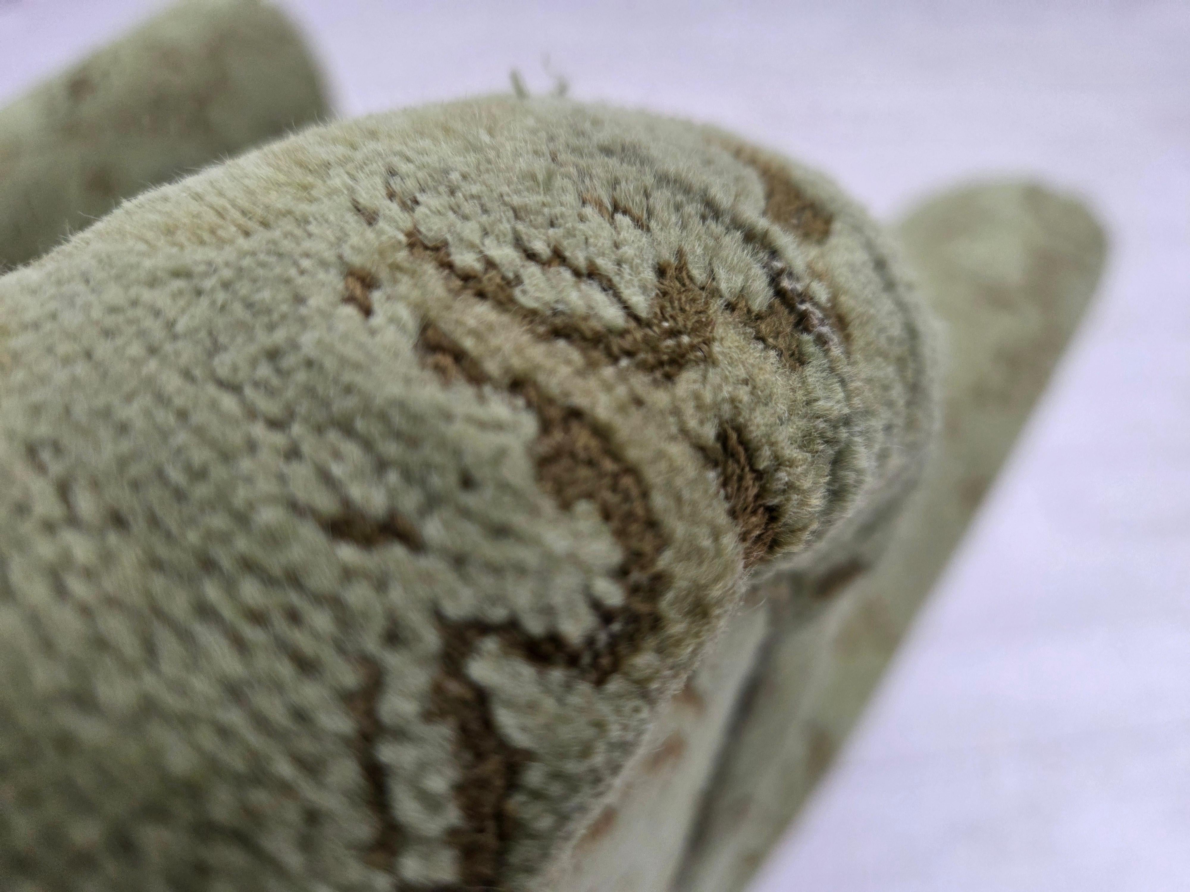 Anni '50, poltrona relax danese, velluto verde da arredamento, legno di quercia intagliato. in vendita 5