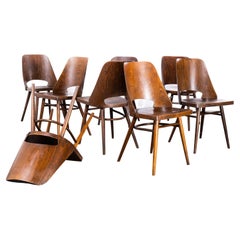 1950's Dark Walnut Dining Chairs By Radomir Hoffman For Ton - Set Of Eight
